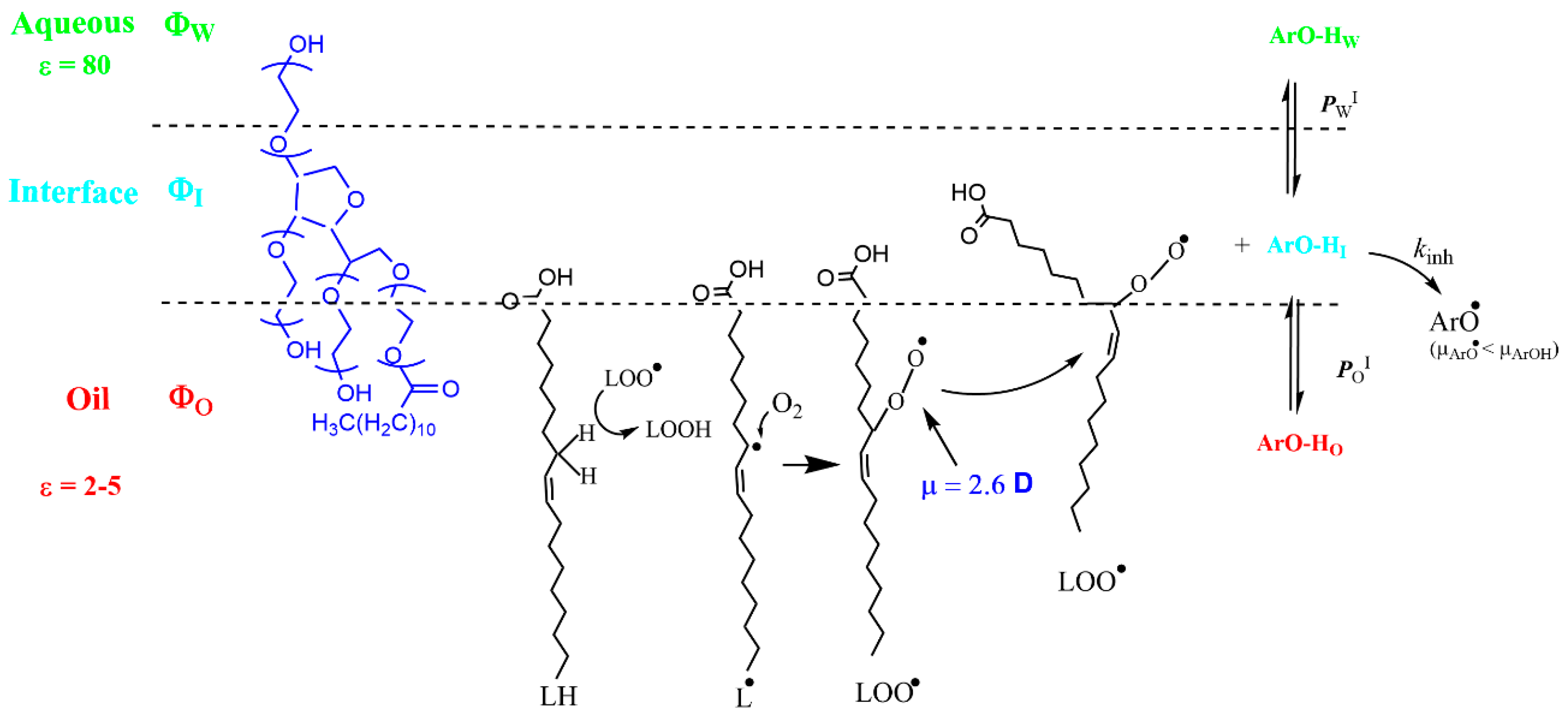 Antioxidants 13 00593 g010