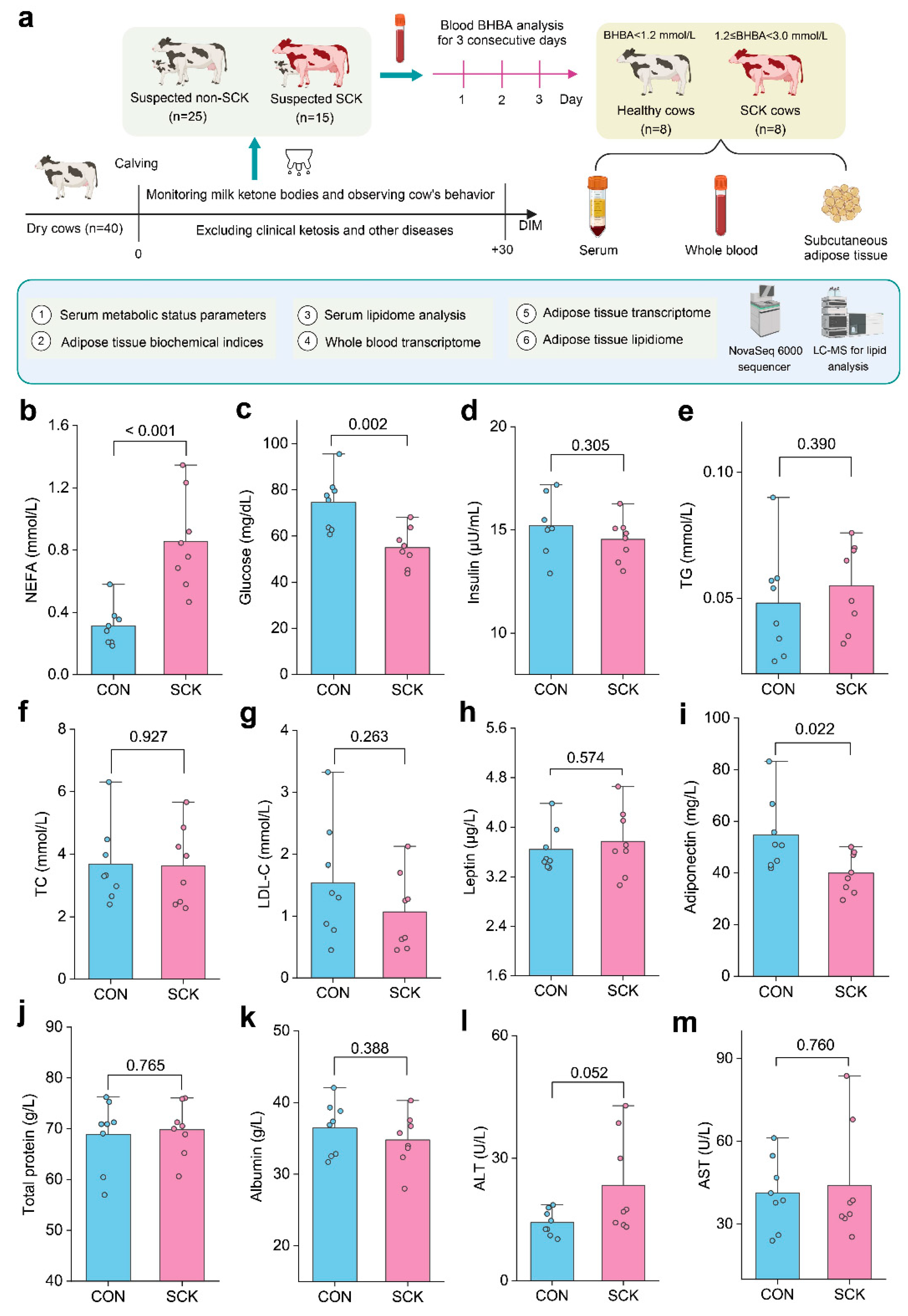 Antioxidants 13 00614 g001