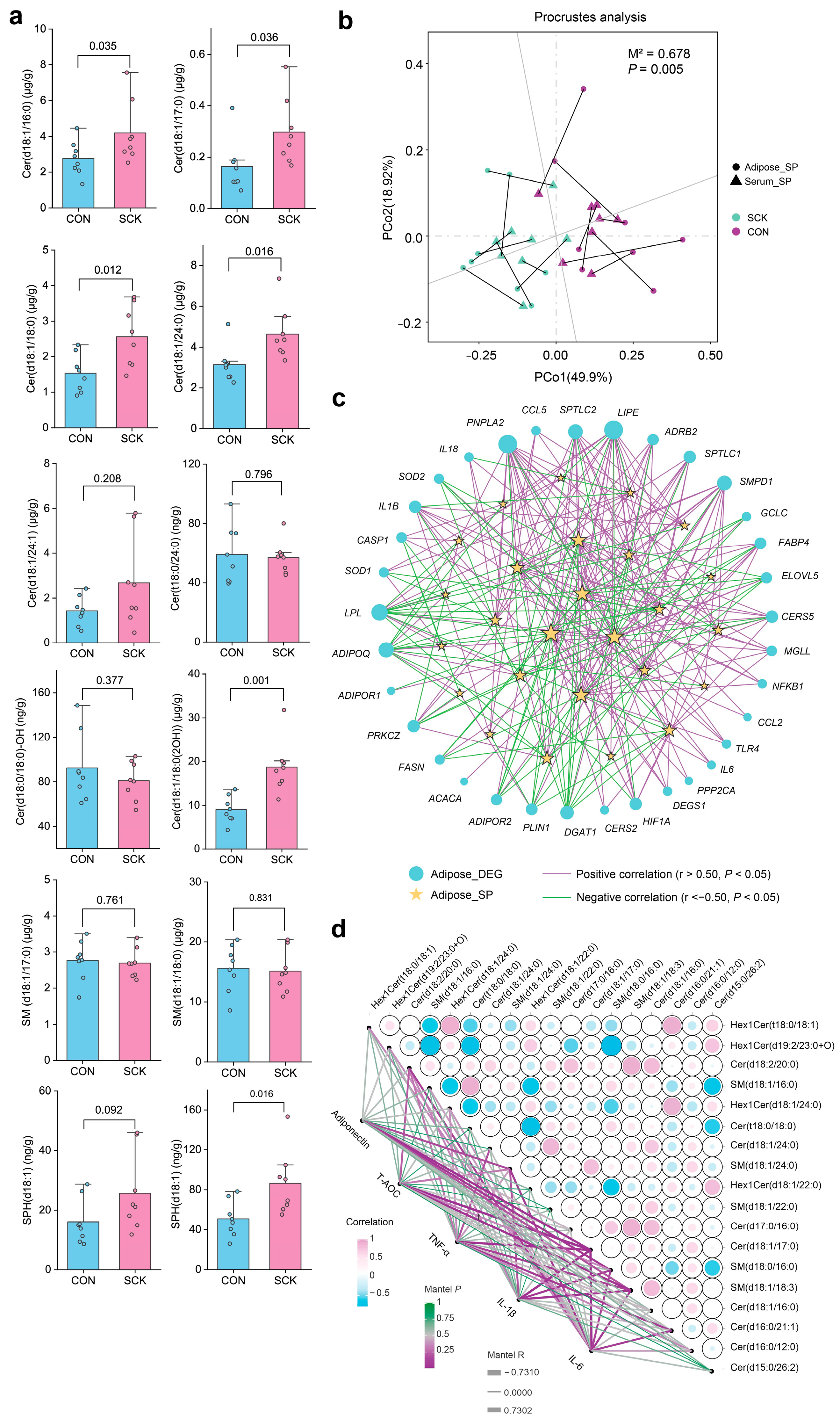 Antioxidants 13 00614 g008