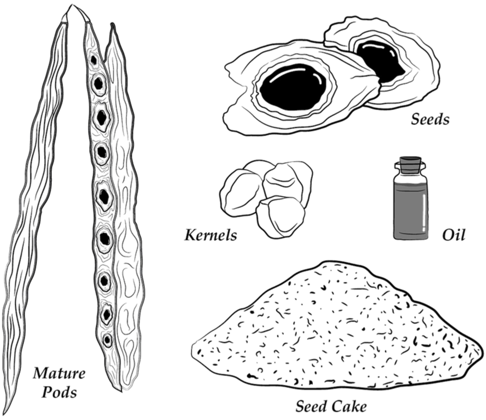 Applbiosci 03 00013 g002