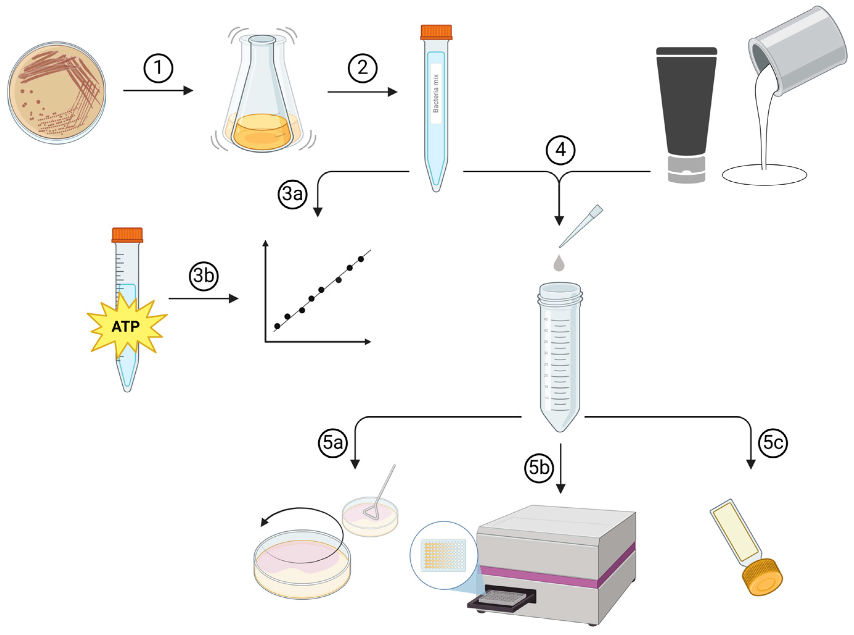 Applmicrobiol 04 00040 g001