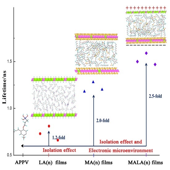 Novel Luminescent Multilayer Films Containing π-Conjugated Anionic Polymer with Electronic Microenvironment Novel Luminescent Multilayer Films Containing π-Conjugated Anionic Polymer with Electronic Microenvironment