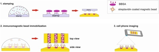 Image Processing and Cell Phone Microscopy to Analyze the Immunomagnetic Beads on Micro-Contact Printed Gratings Image Processing and Cell Phone Microscopy to Analyze the Immunomagnetic Beads on Micro-Contact Printed Gratings