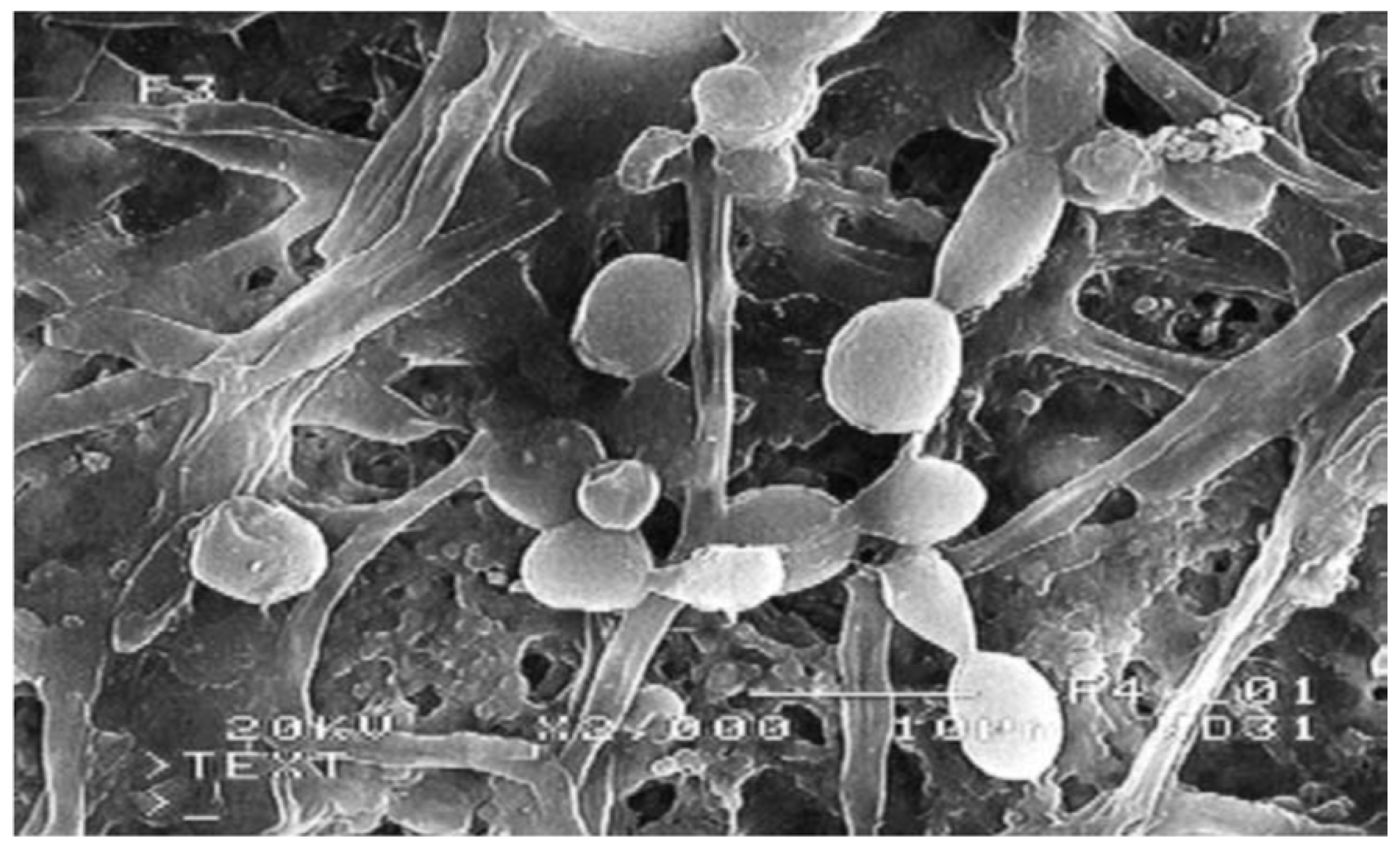 Applsci 07 00334 g003