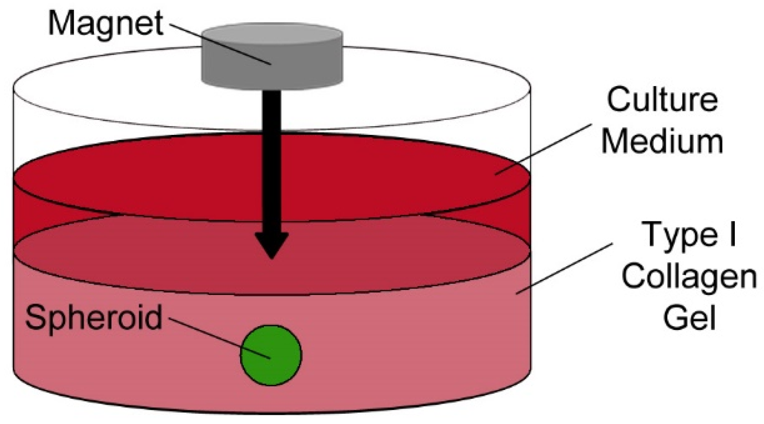Applsci 08 00412 g001
