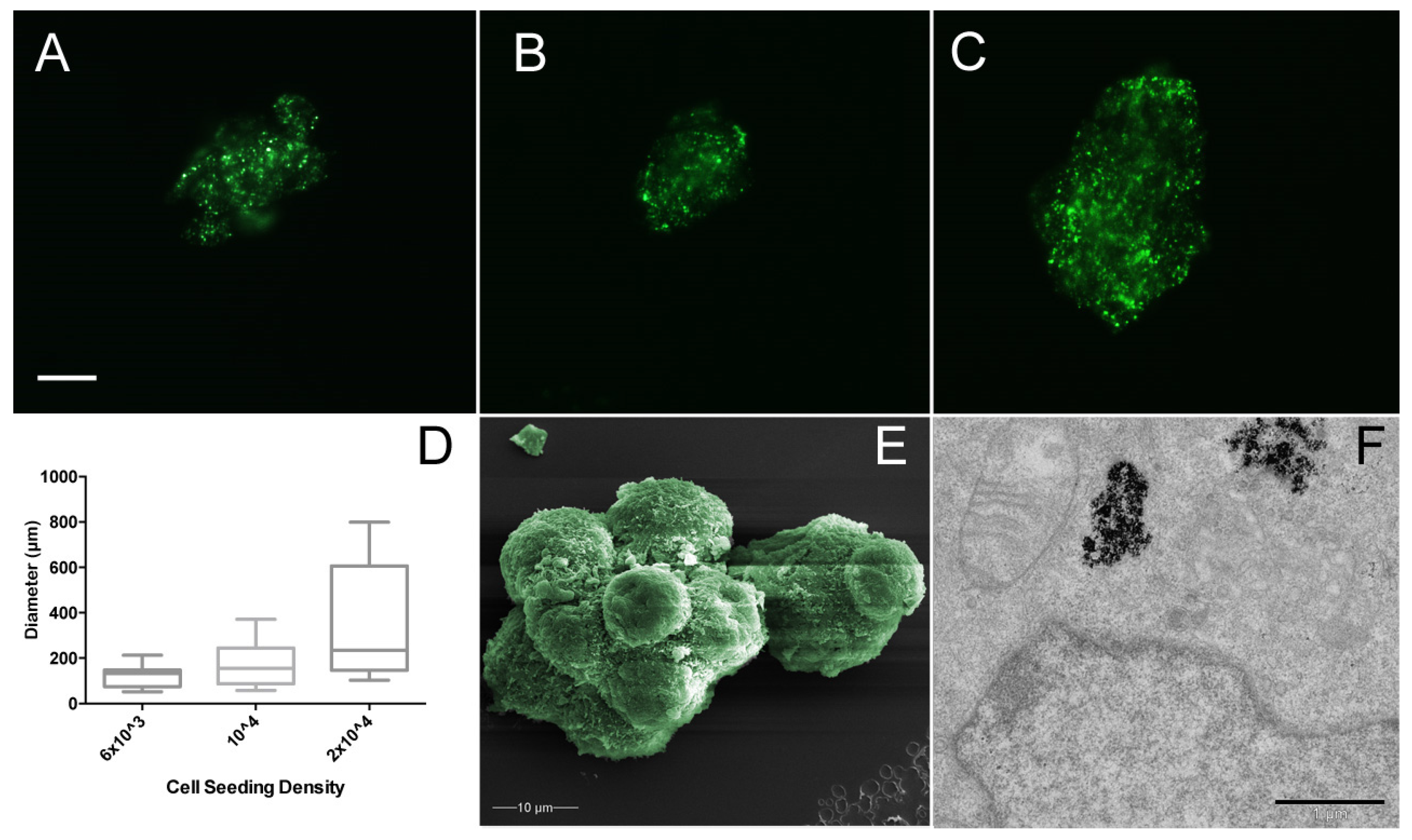 Applsci 08 00412 g005