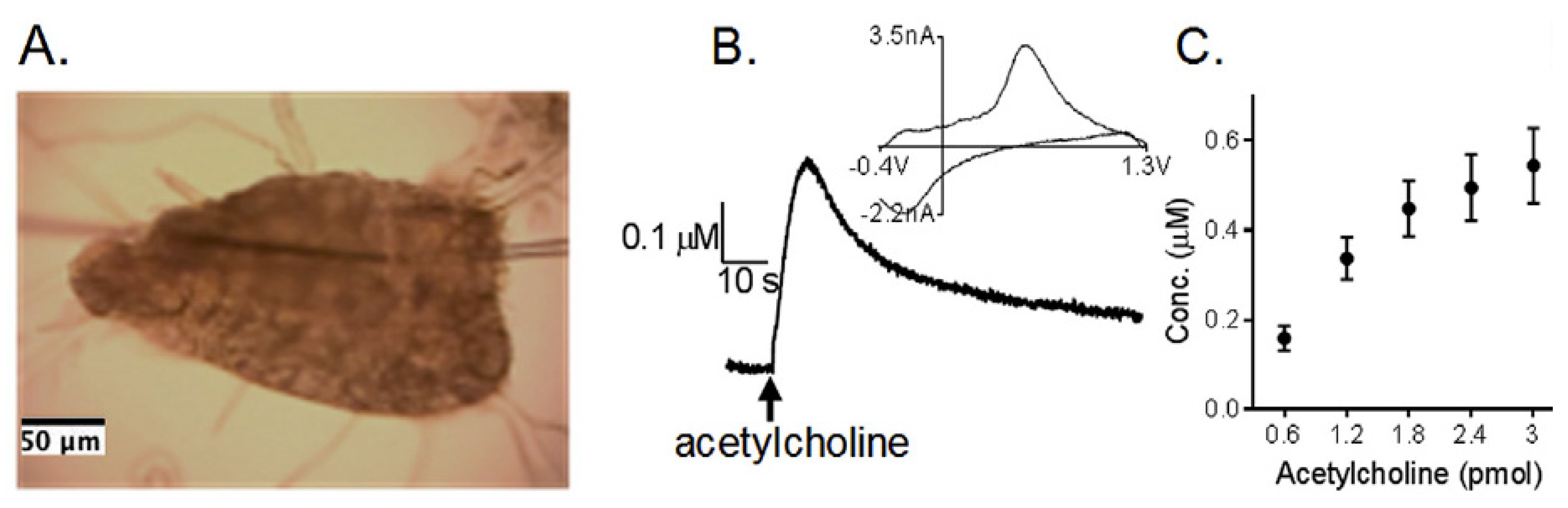 Applsci 08 01504 g010