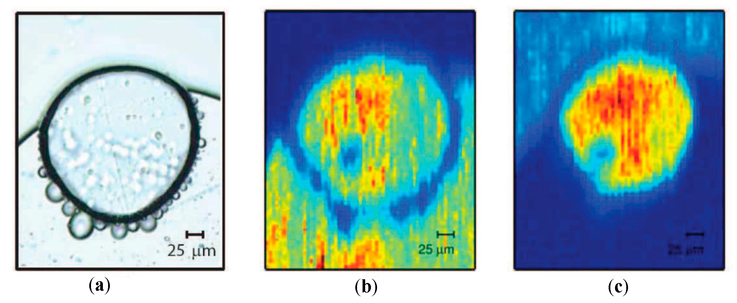 Applsci 08 01637 g008