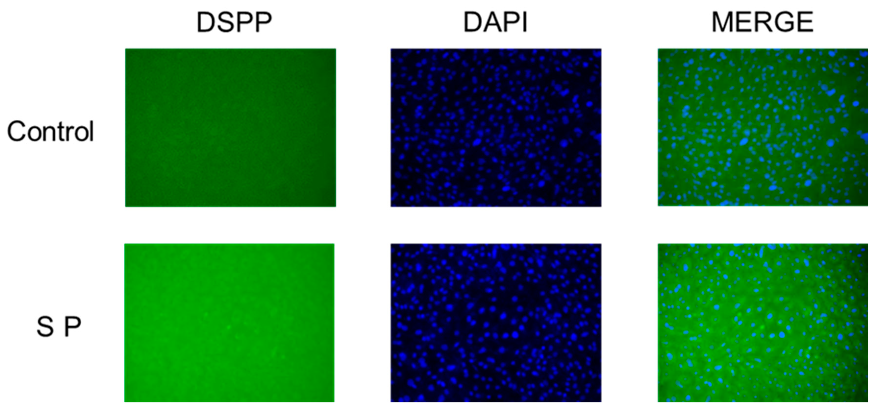 Applsci 08 01890 g006 Applsci 08 01890 g006