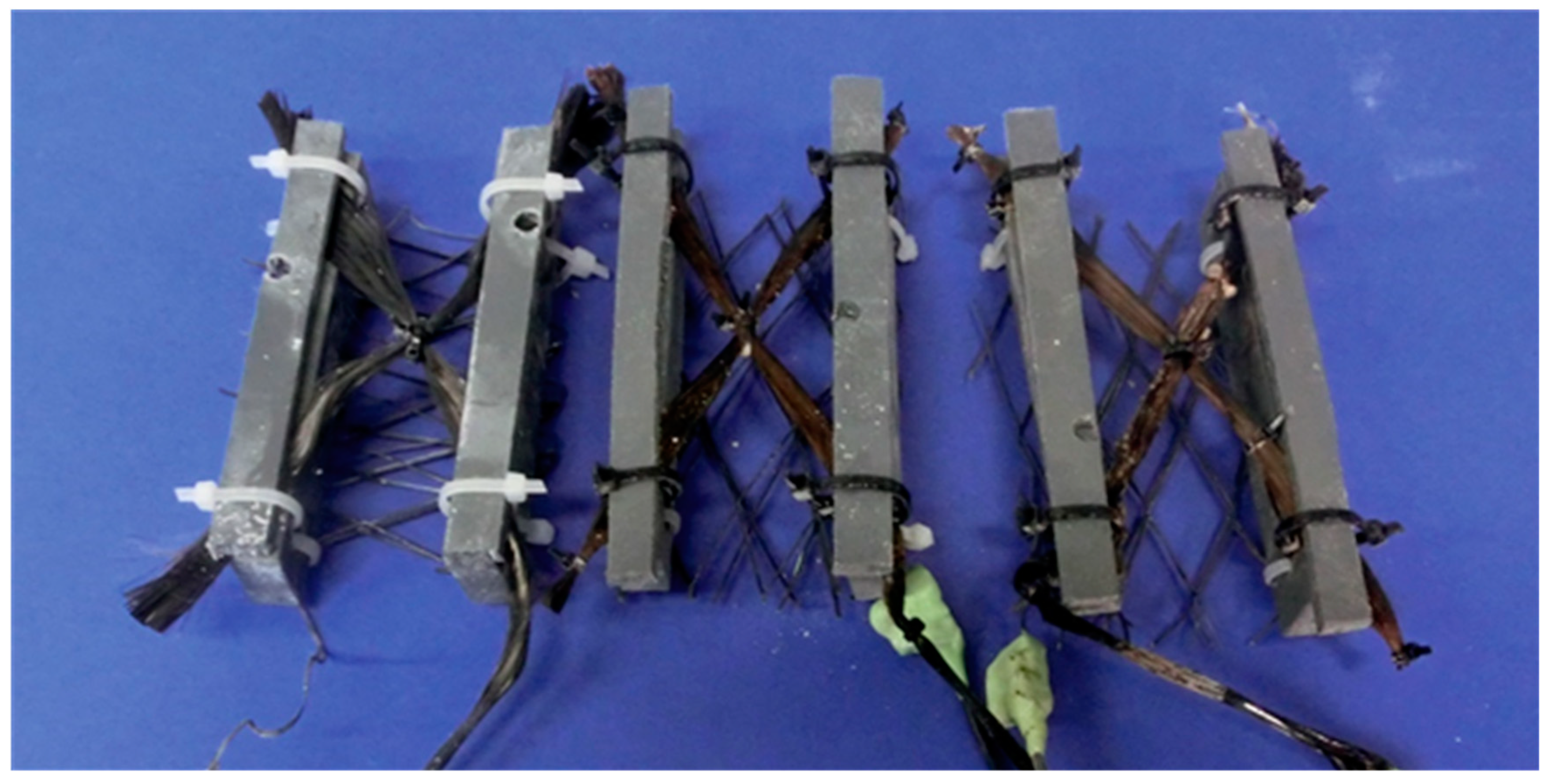 Applsci 09 00110 g011