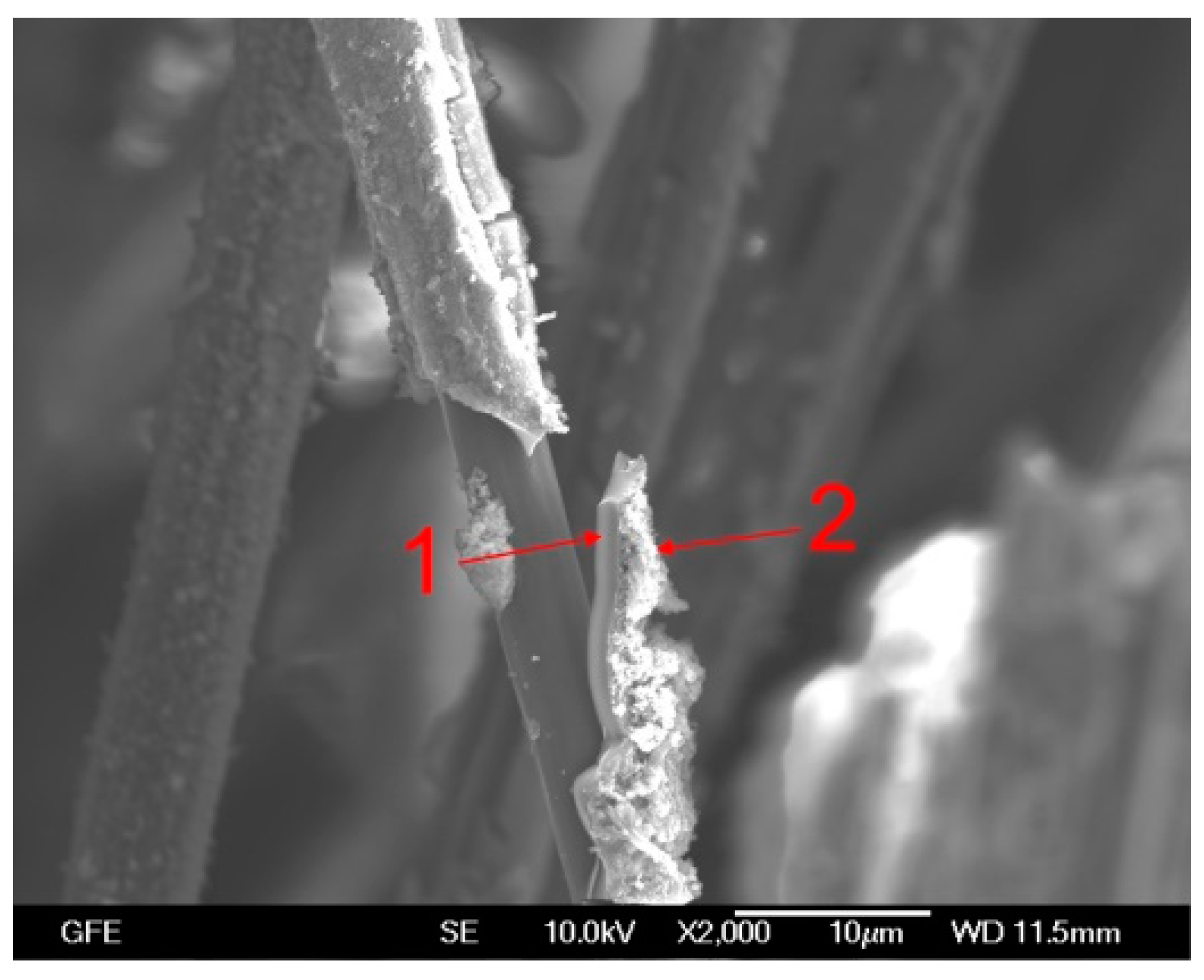 Applsci 09 00110 g013