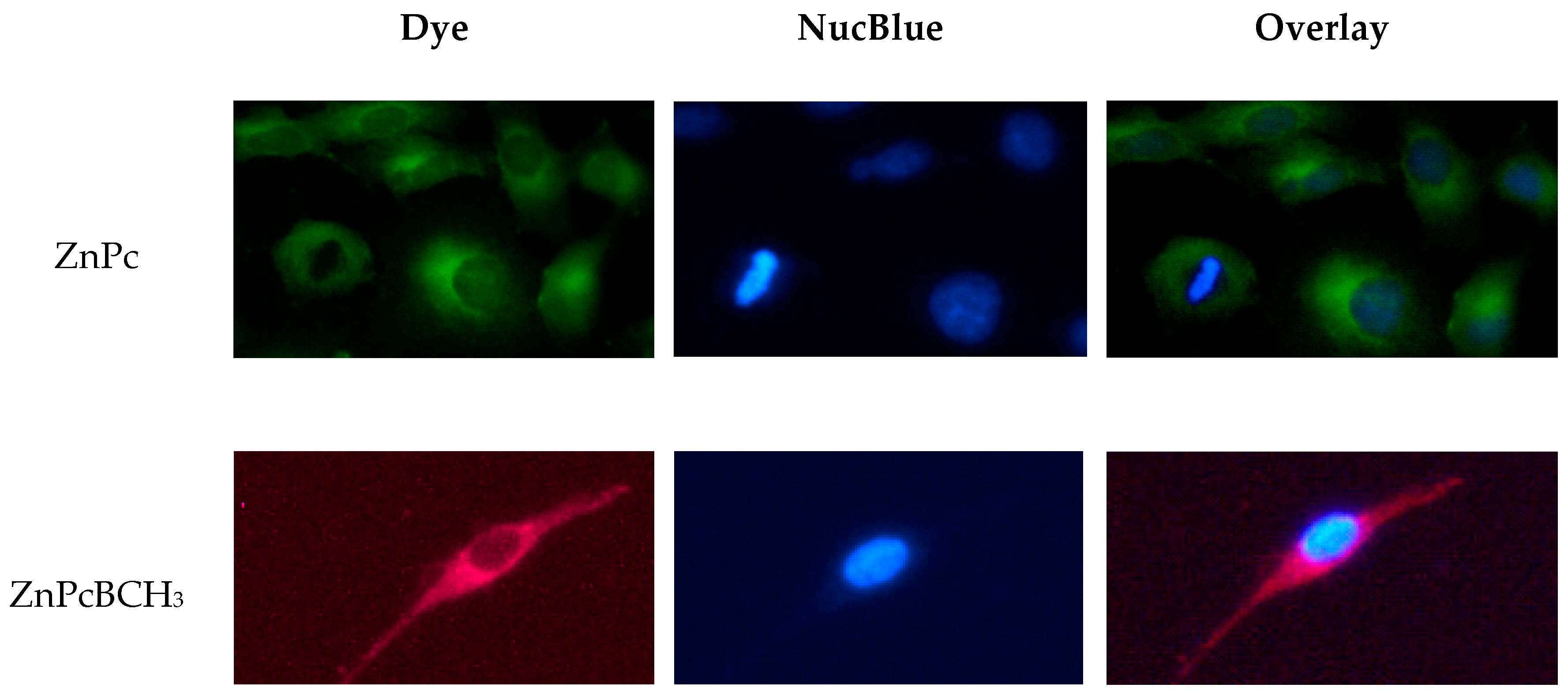 Applsci 09 00401 g007