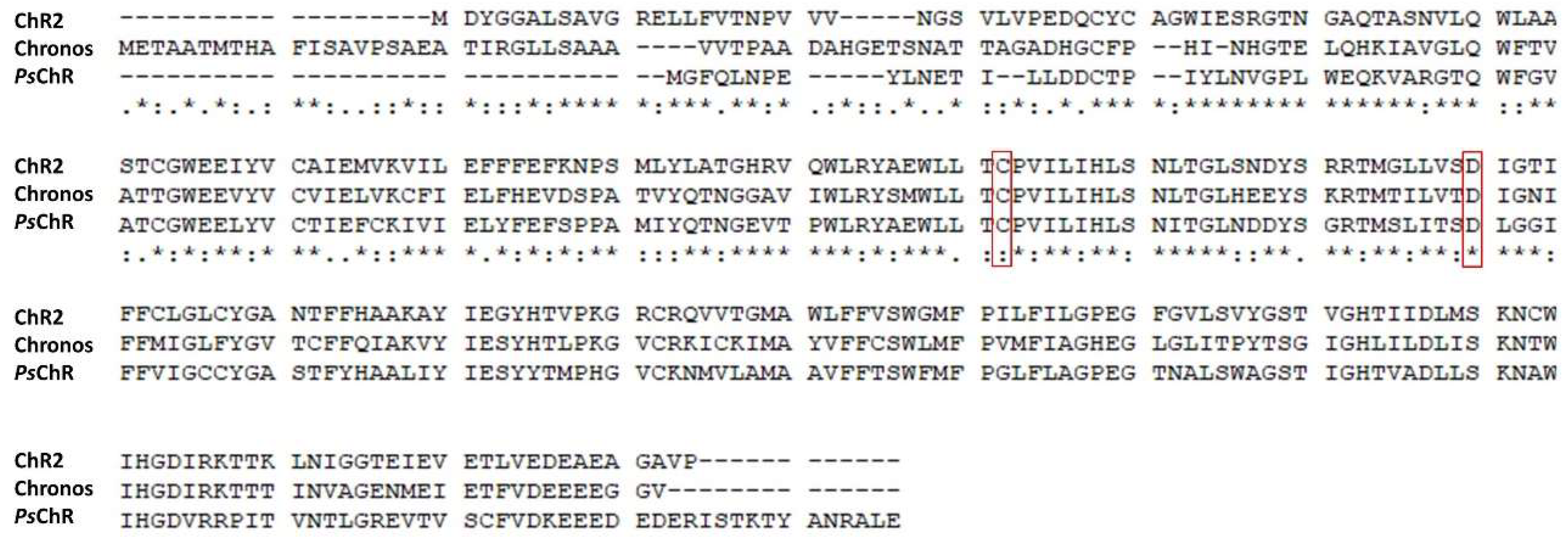 Applsci 09 00664 g0a2 Applsci 09 00664 g0a2