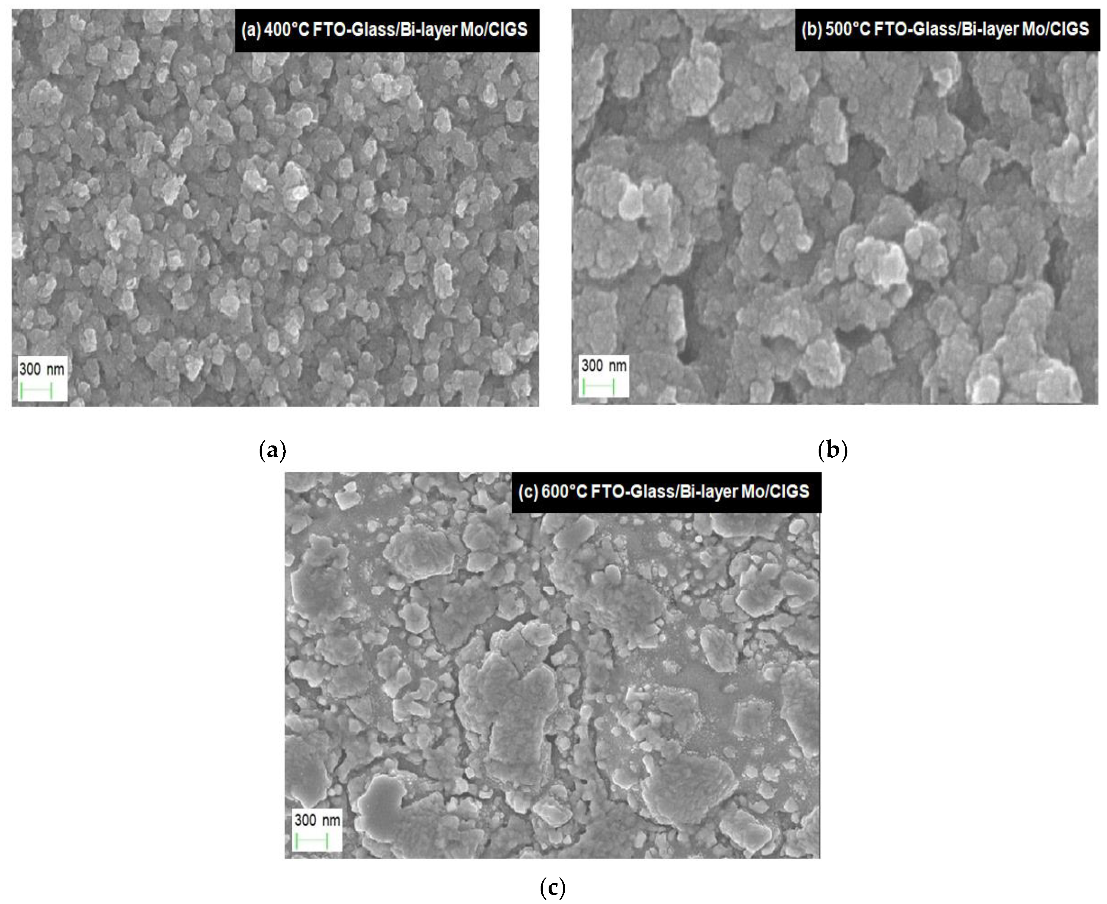 Applsci 09 00719 g002