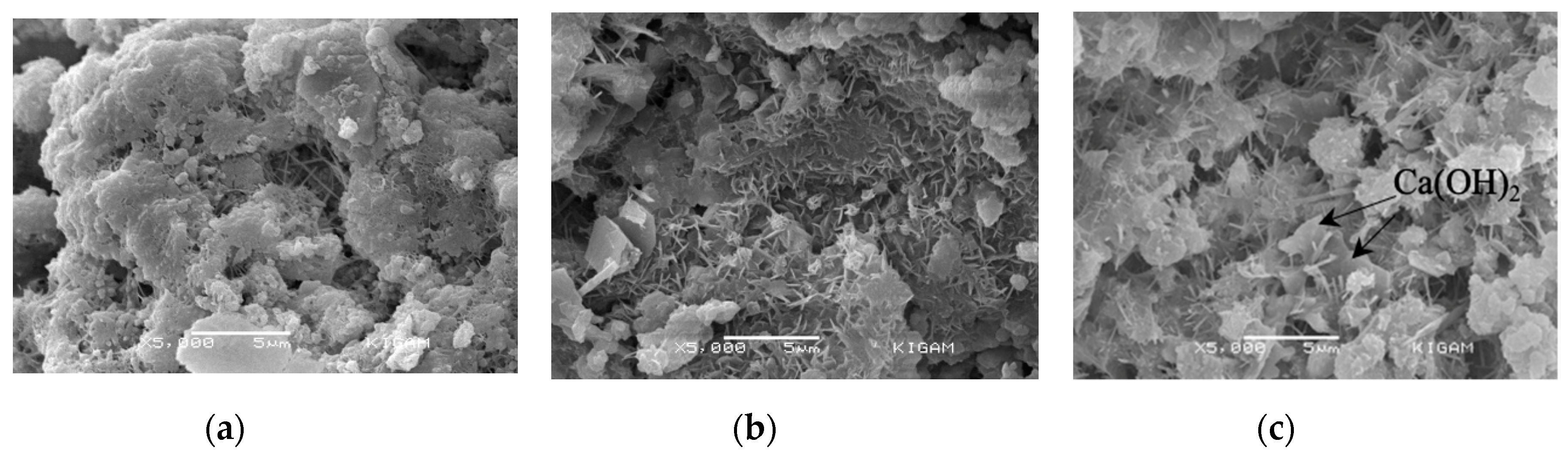 Applsci 09 02510 g007