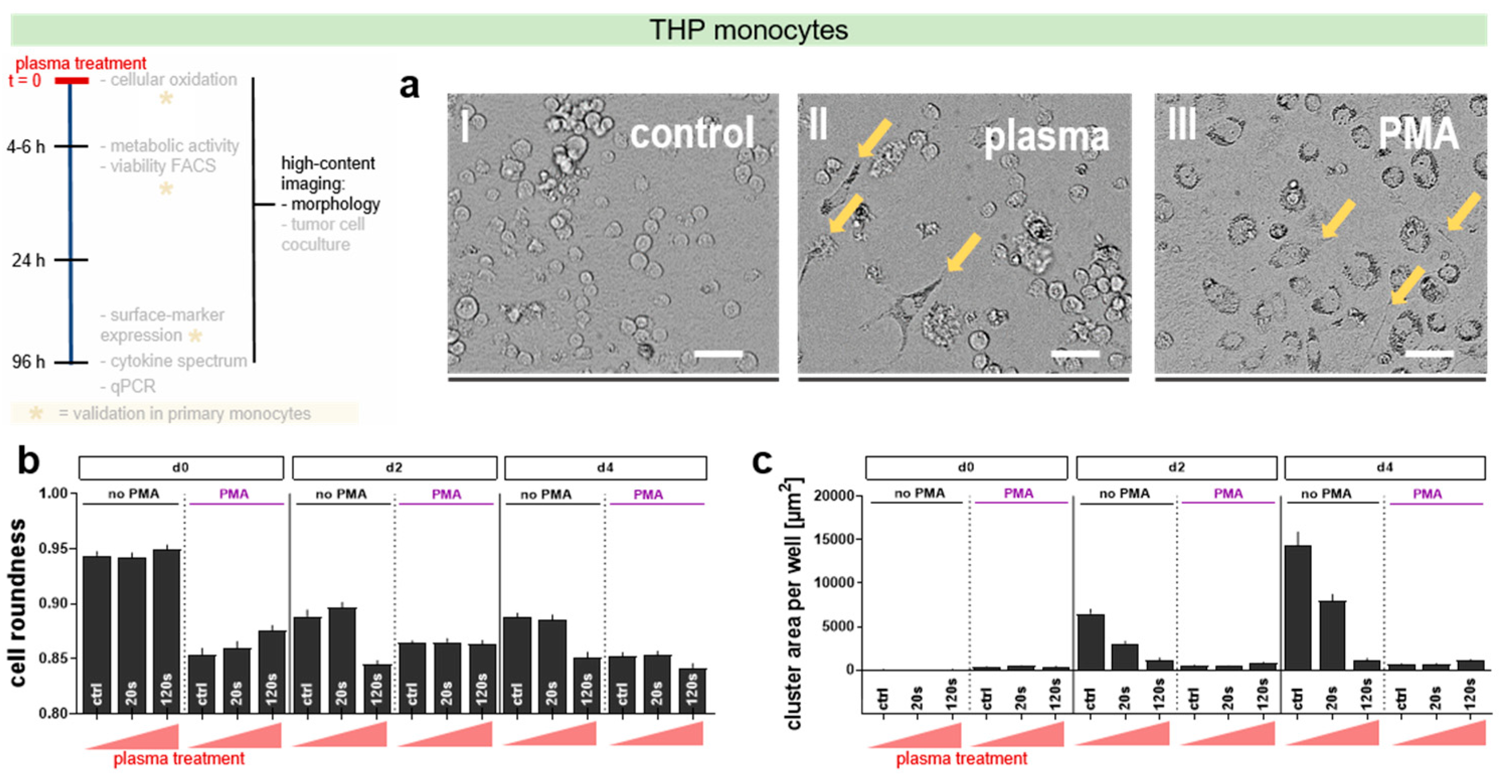 Applsci 09 02530 g003