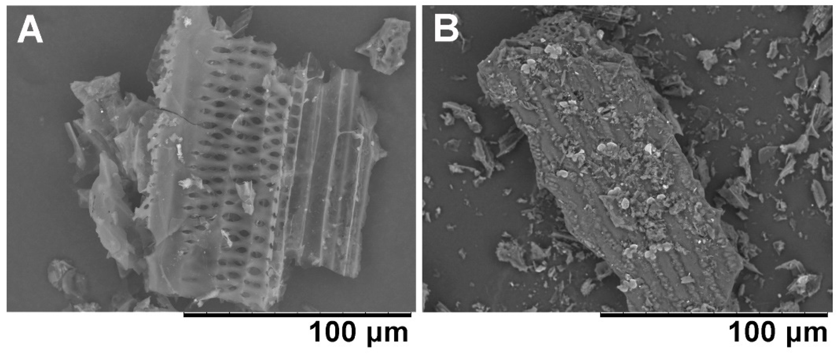 Applsci 09 03209 g002