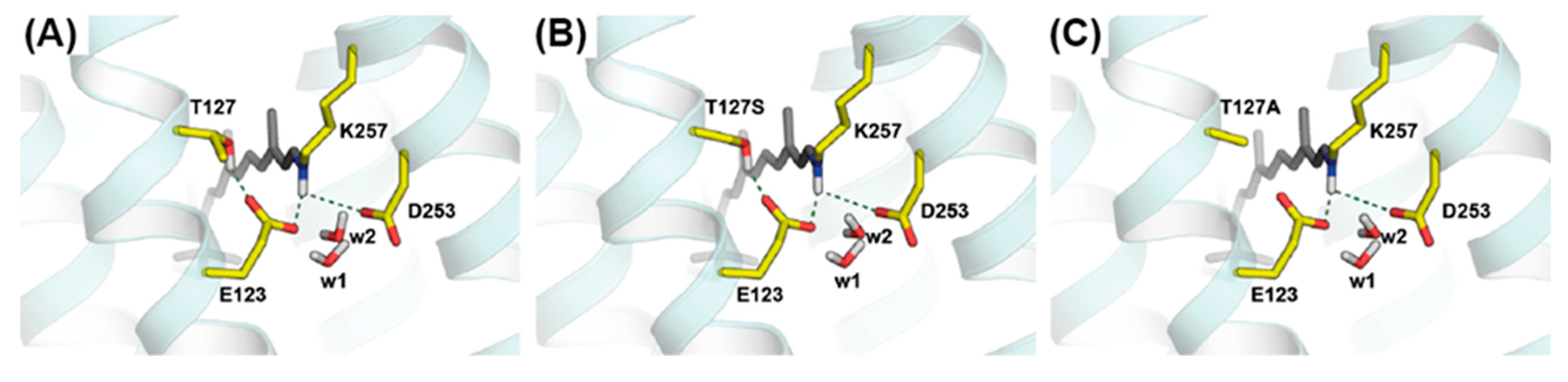 Applsci 09 04905 g002