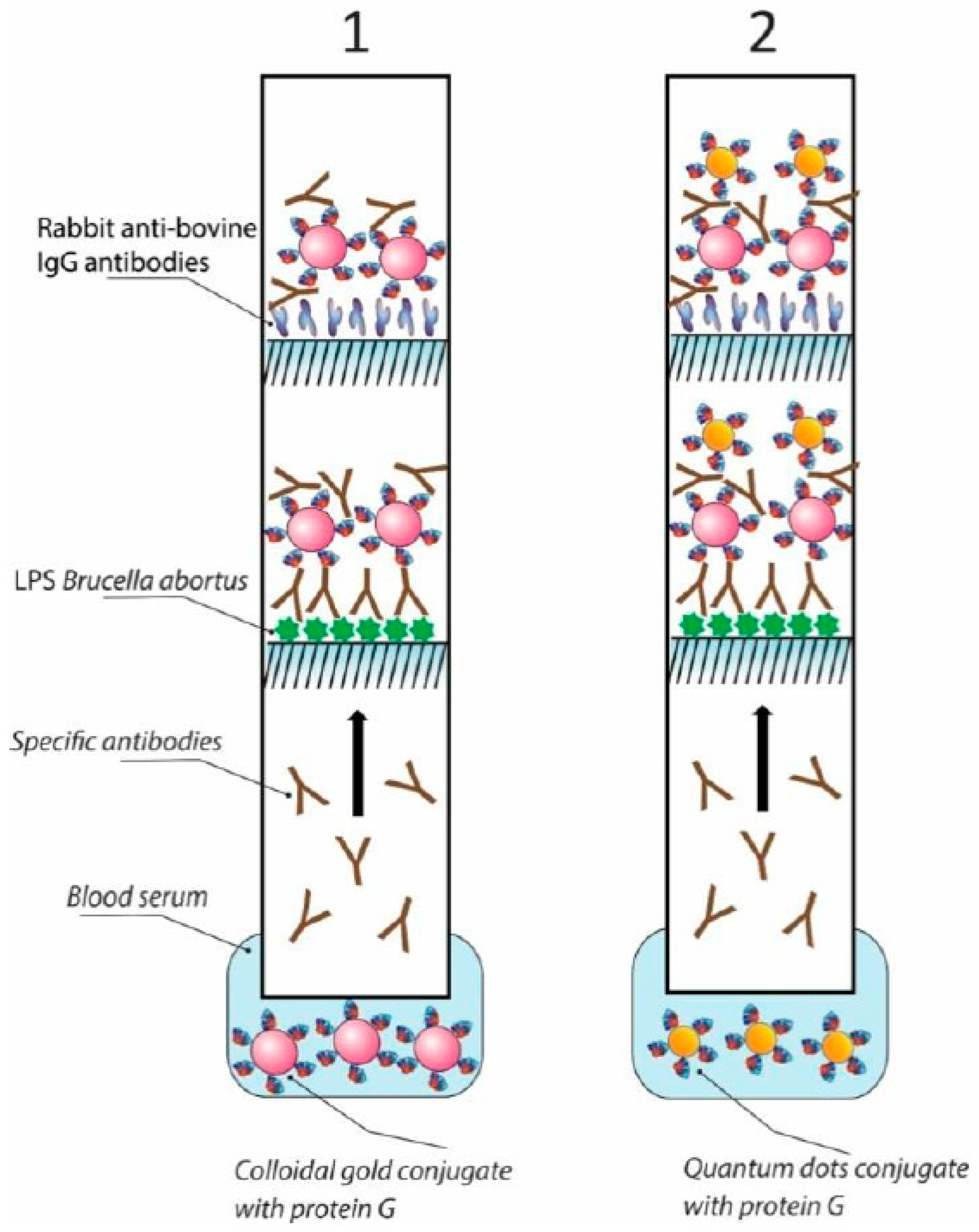 Applsci 10 00738 g003 Applsci 10 00738 g003