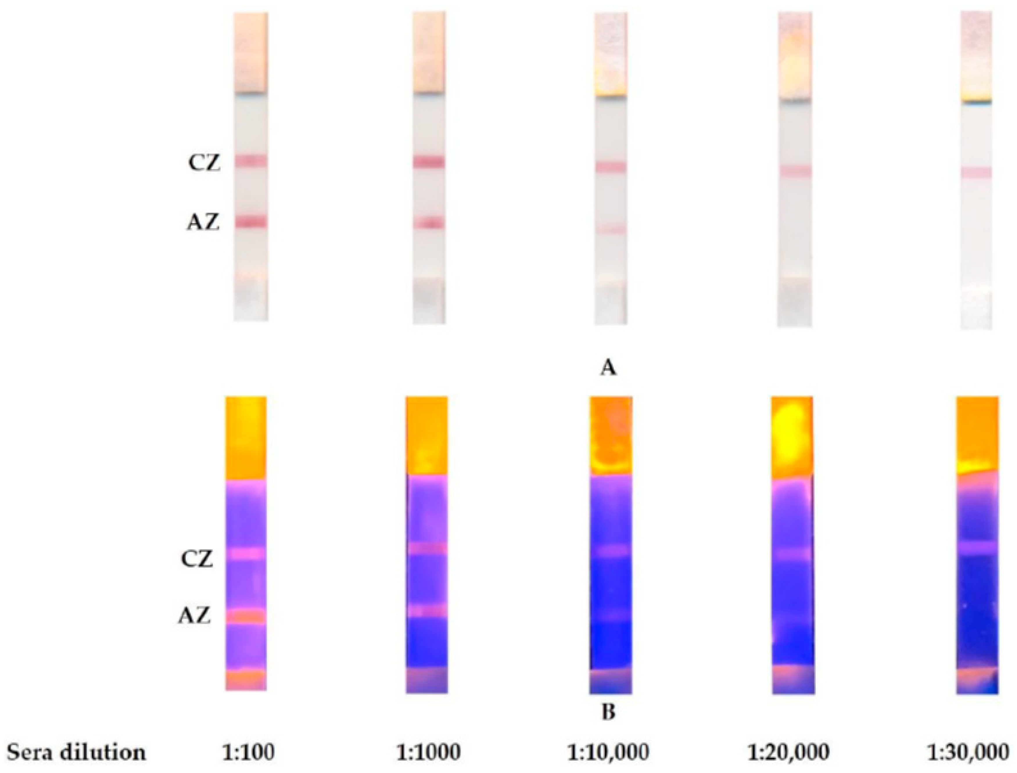 Applsci 10 00738 g005 Applsci 10 00738 g005