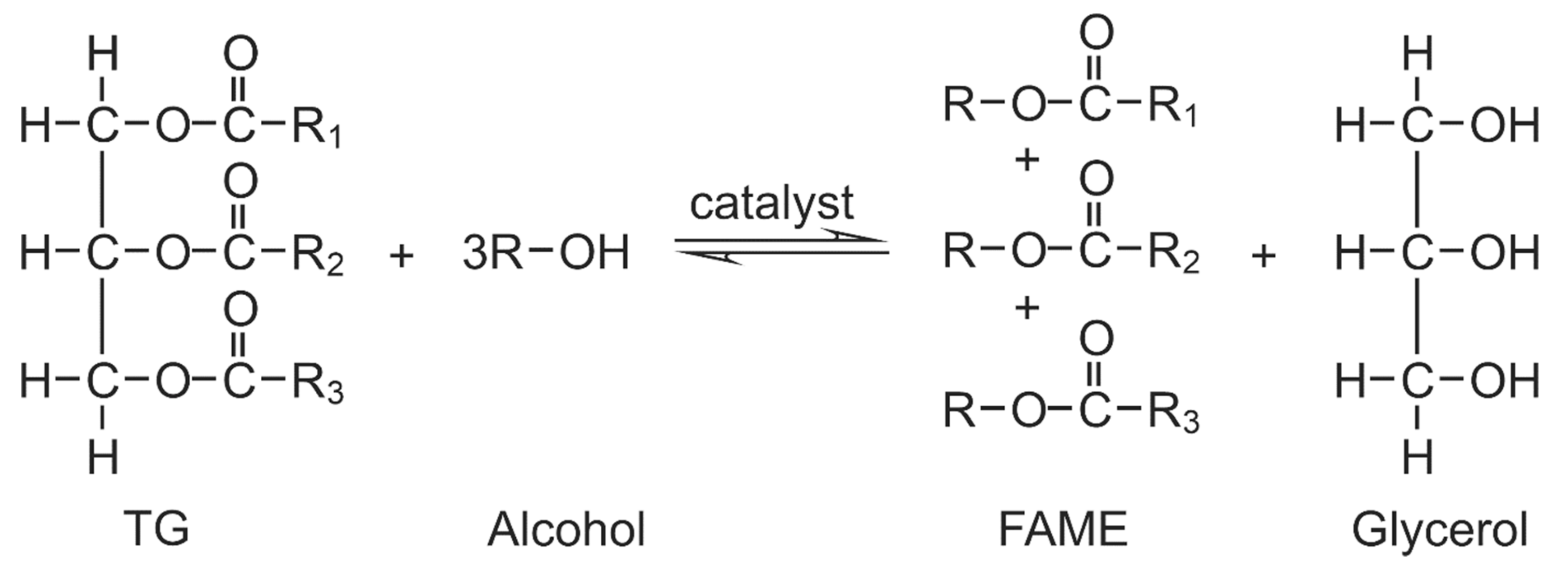 Applsci 10 00918 g001