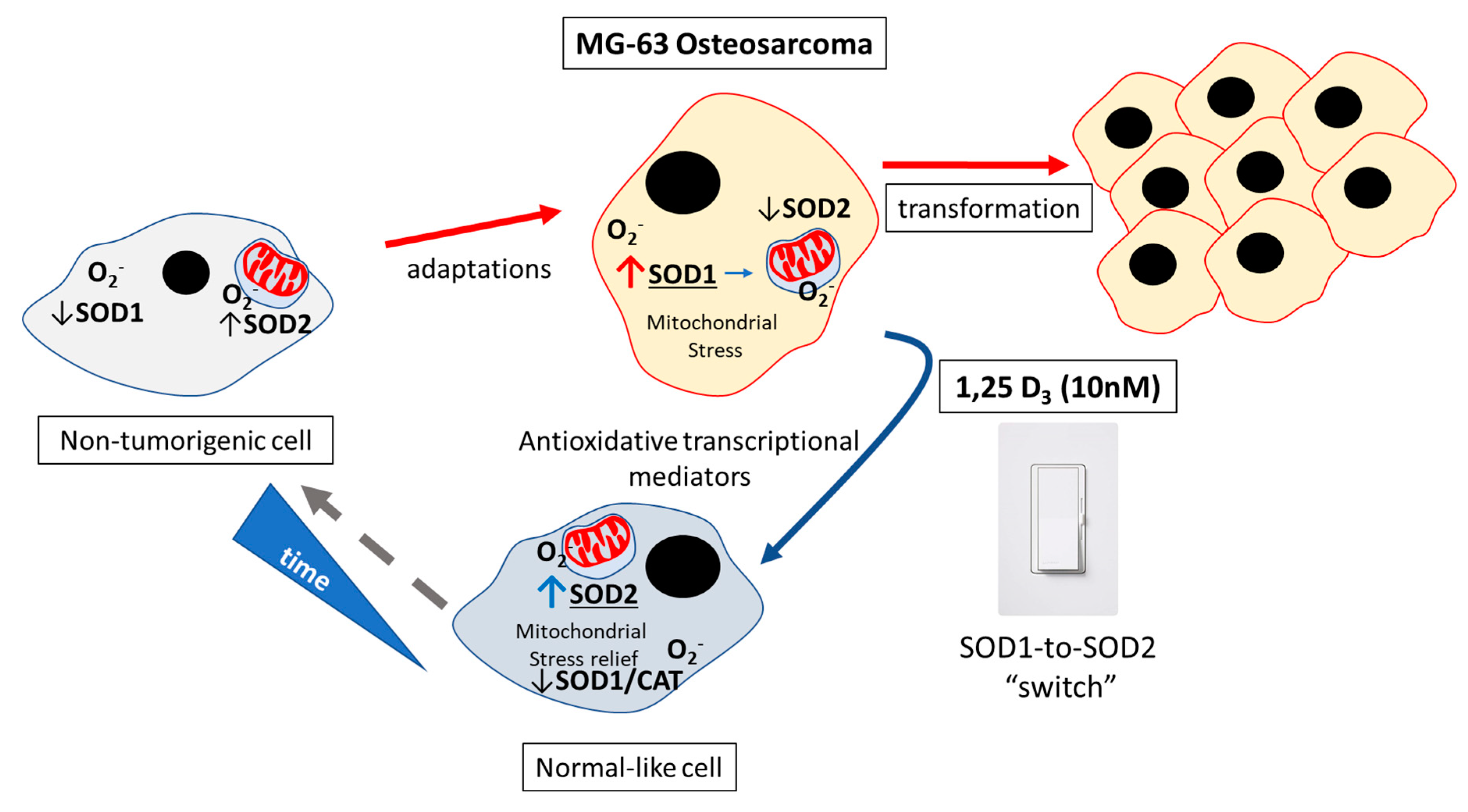Applsci 10 02554 g004 Applsci 10 02554 g004