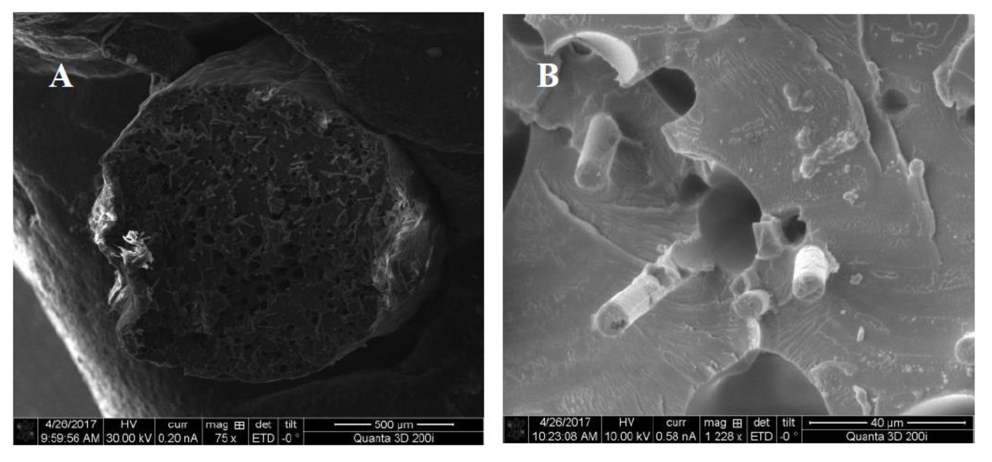 Applsci 10 03062 g002