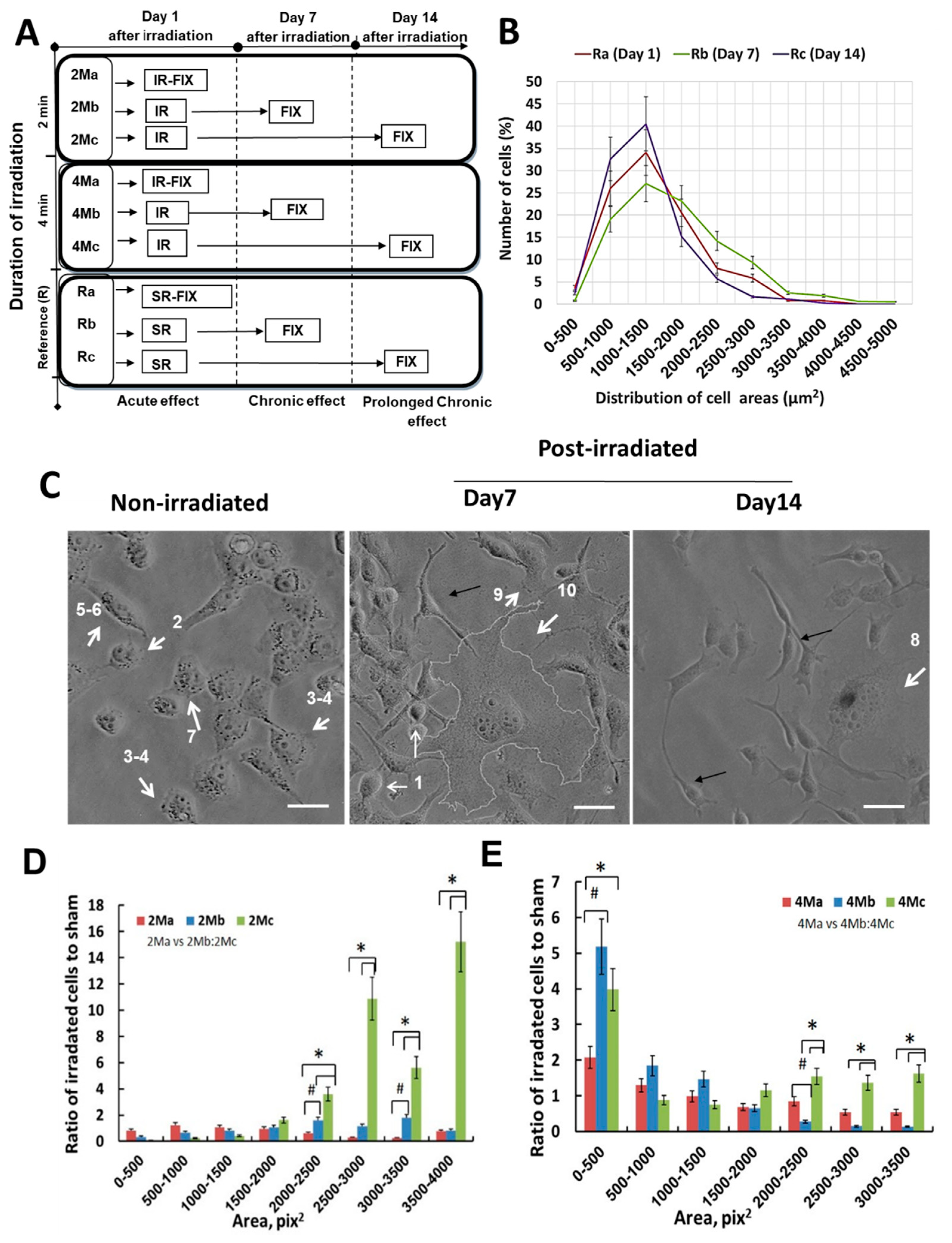 Applsci 10 03187 g003