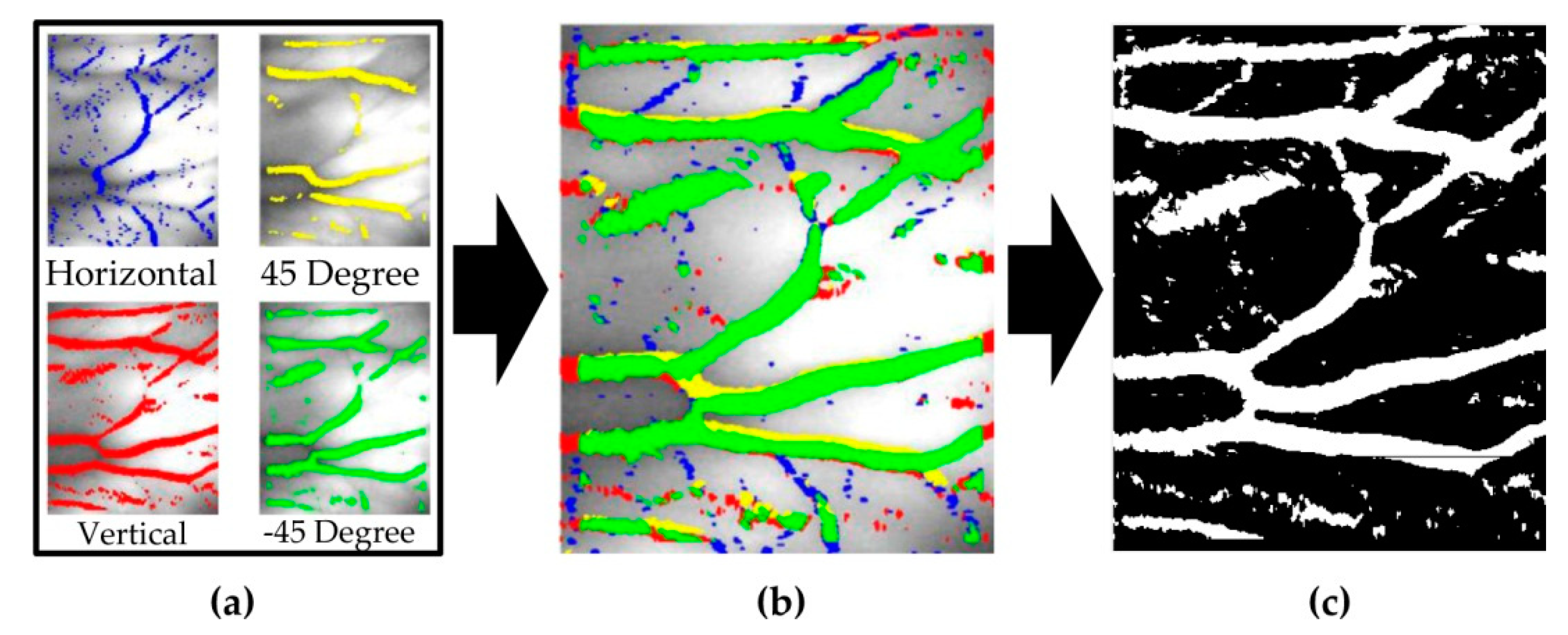 Applied Sciences Free Full Text Vein Pattern Verification And