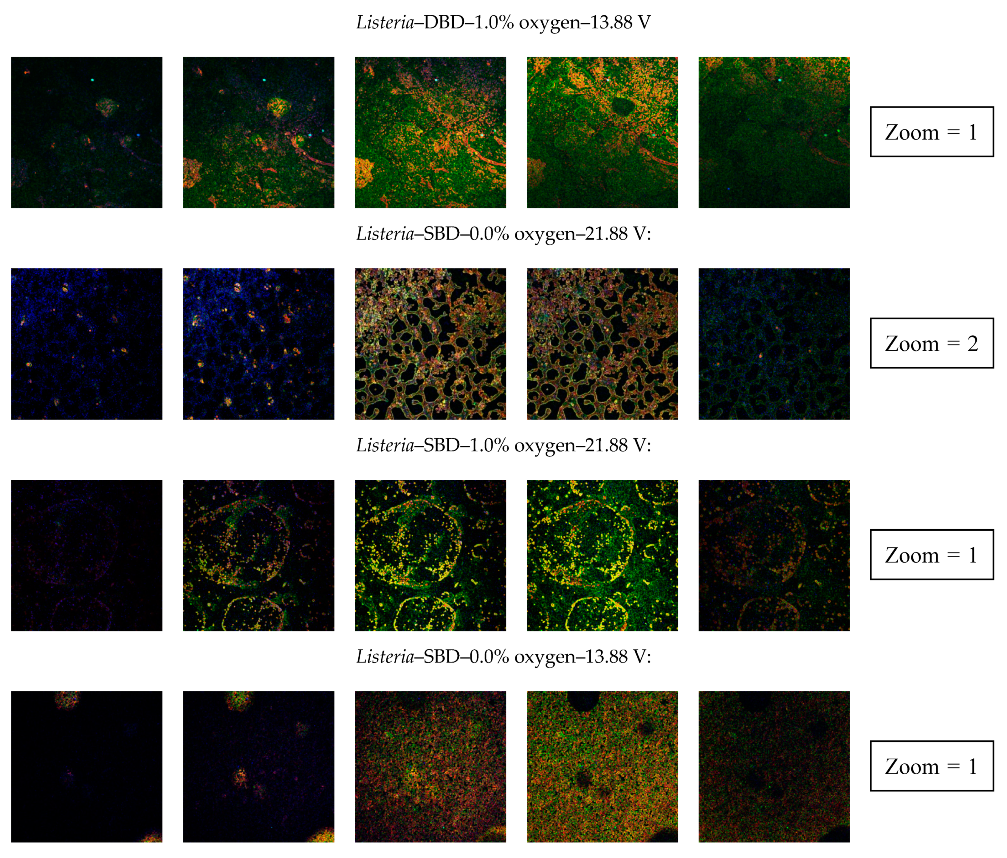 Applsci 10 03198 g009b