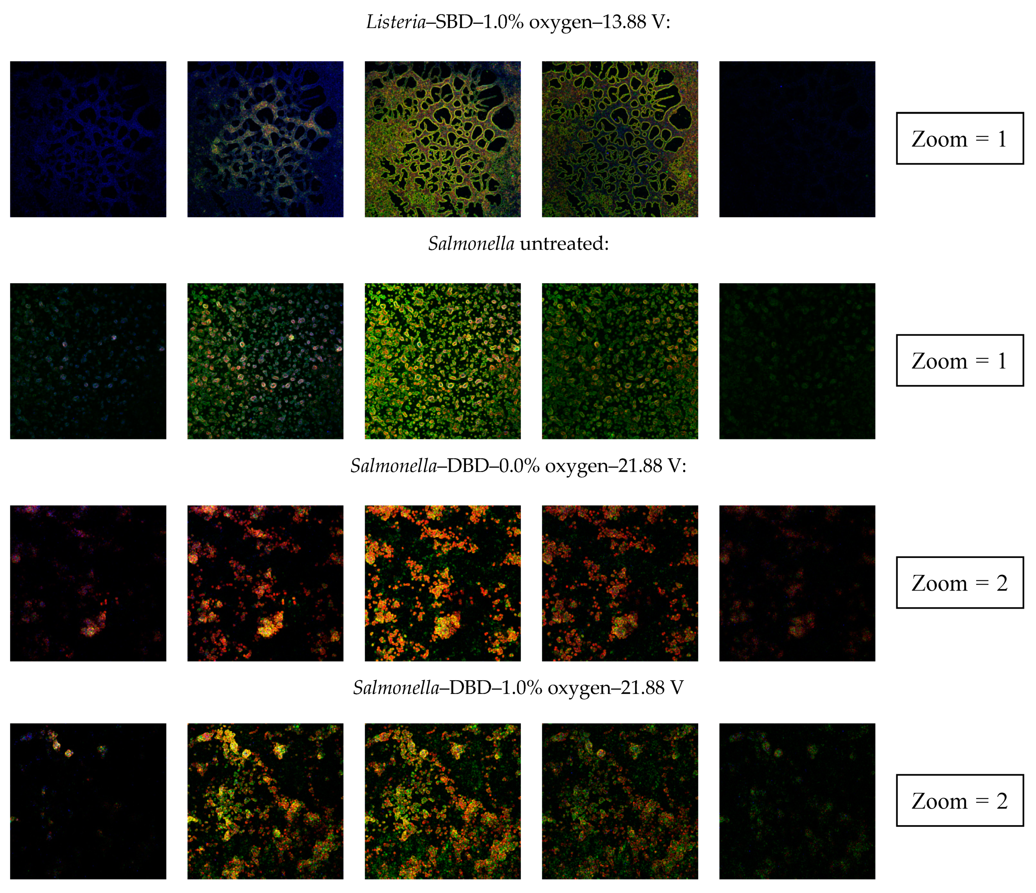 Applsci 10 03198 g009c