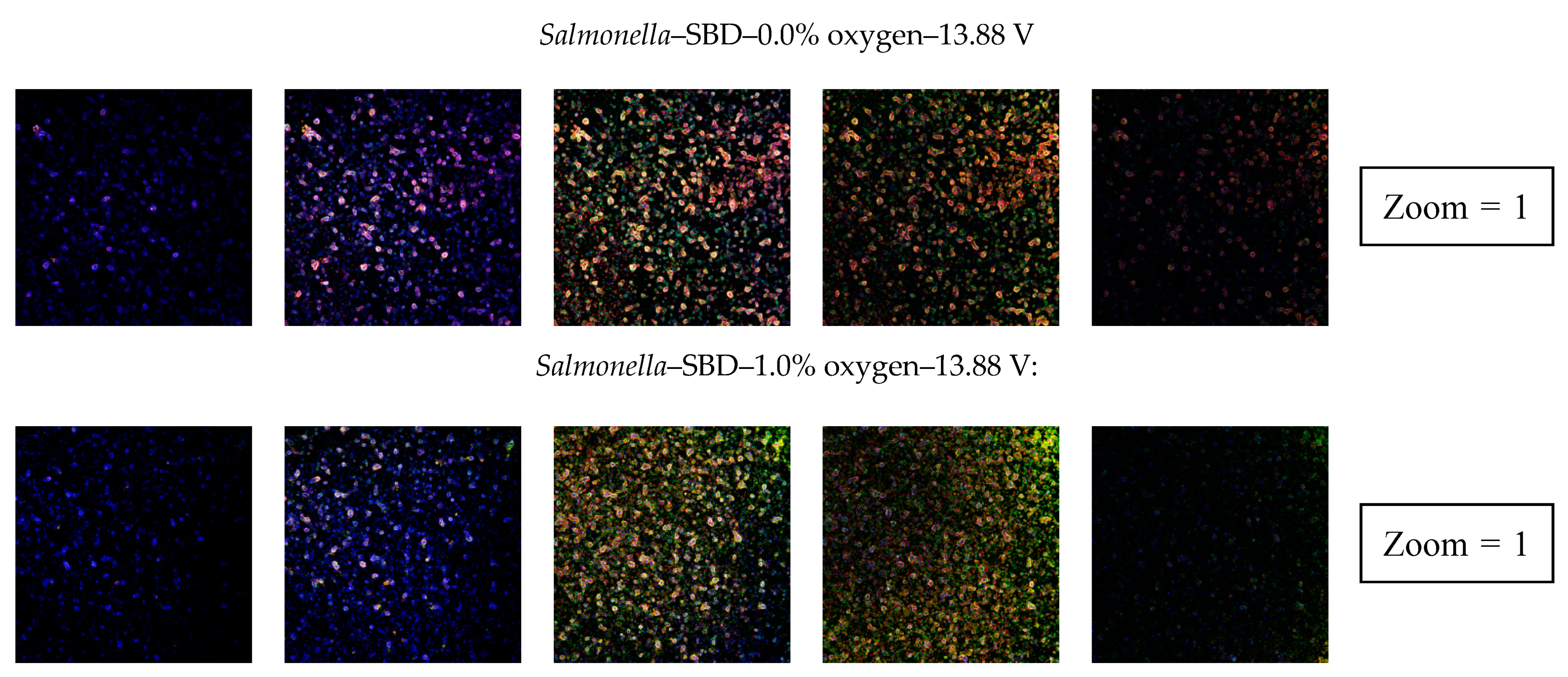Applsci 10 03198 g009e