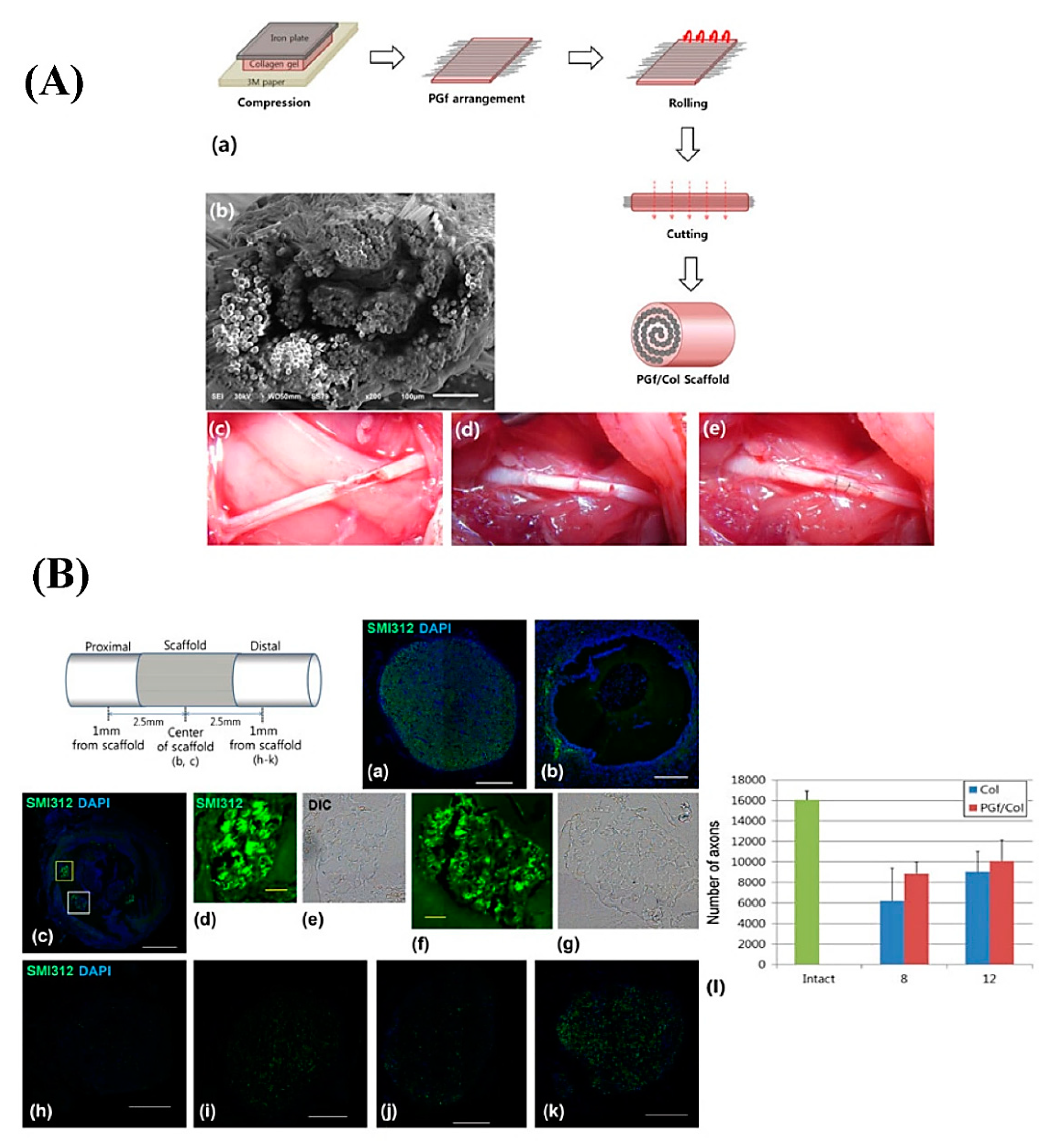 Applsci 10 03421 g003