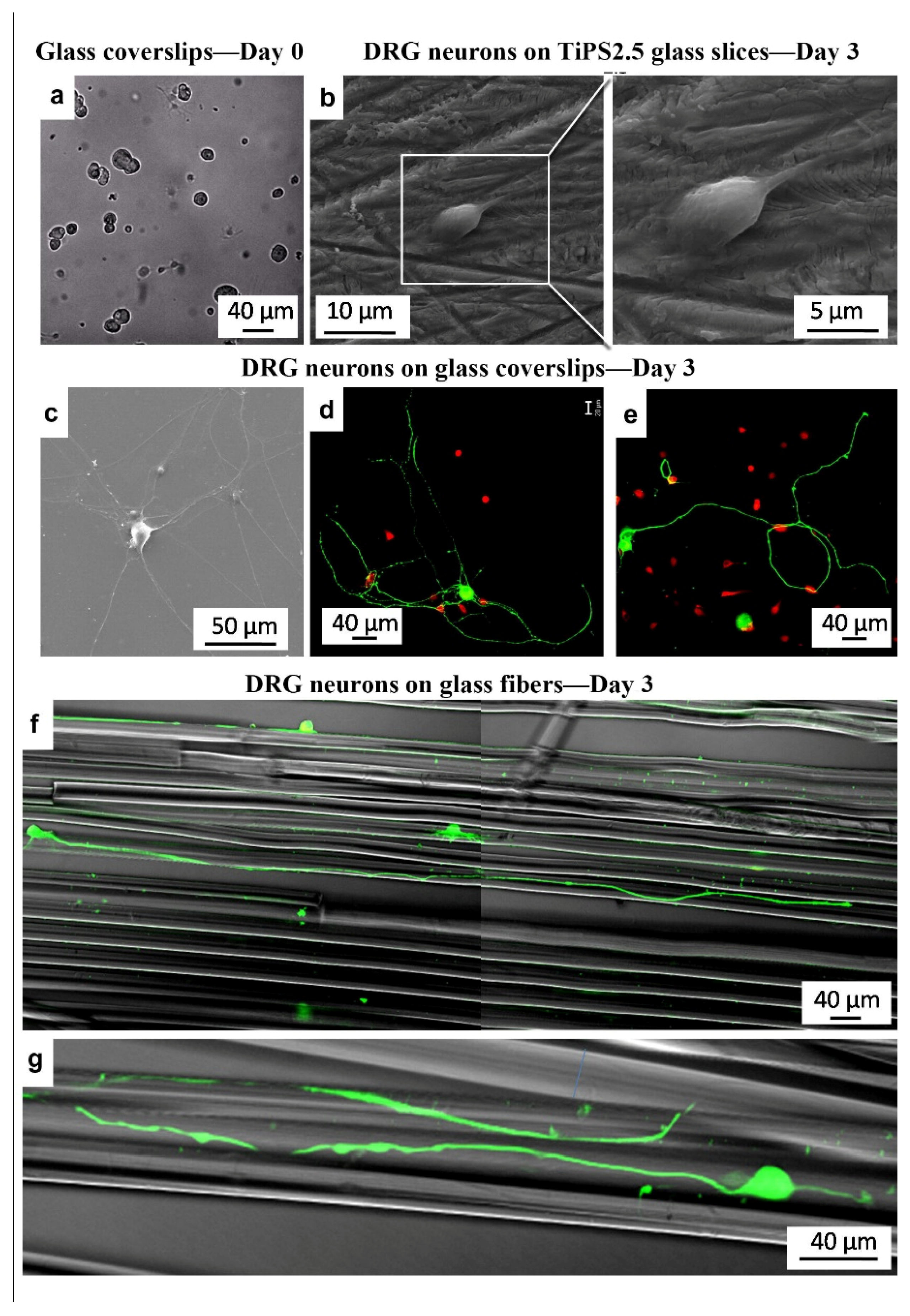Applsci 10 03421 g005