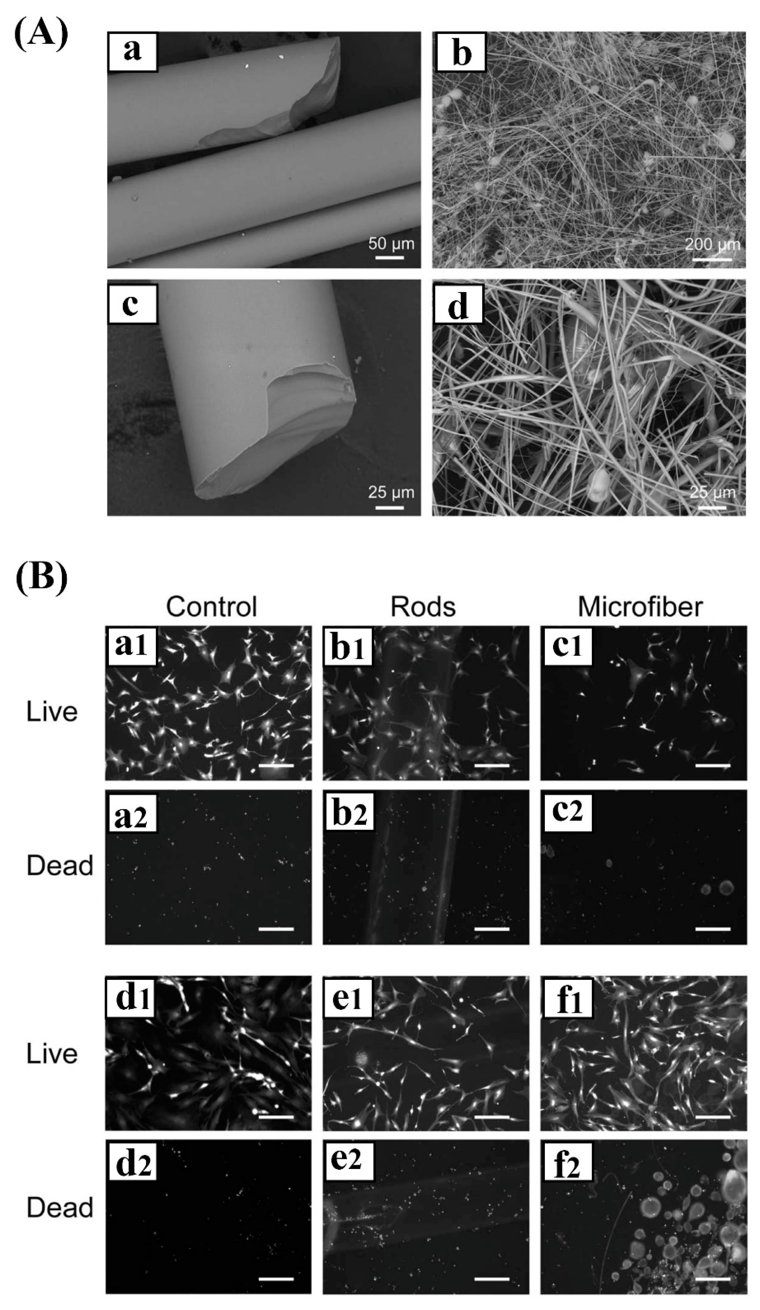 Applsci 10 03421 g007