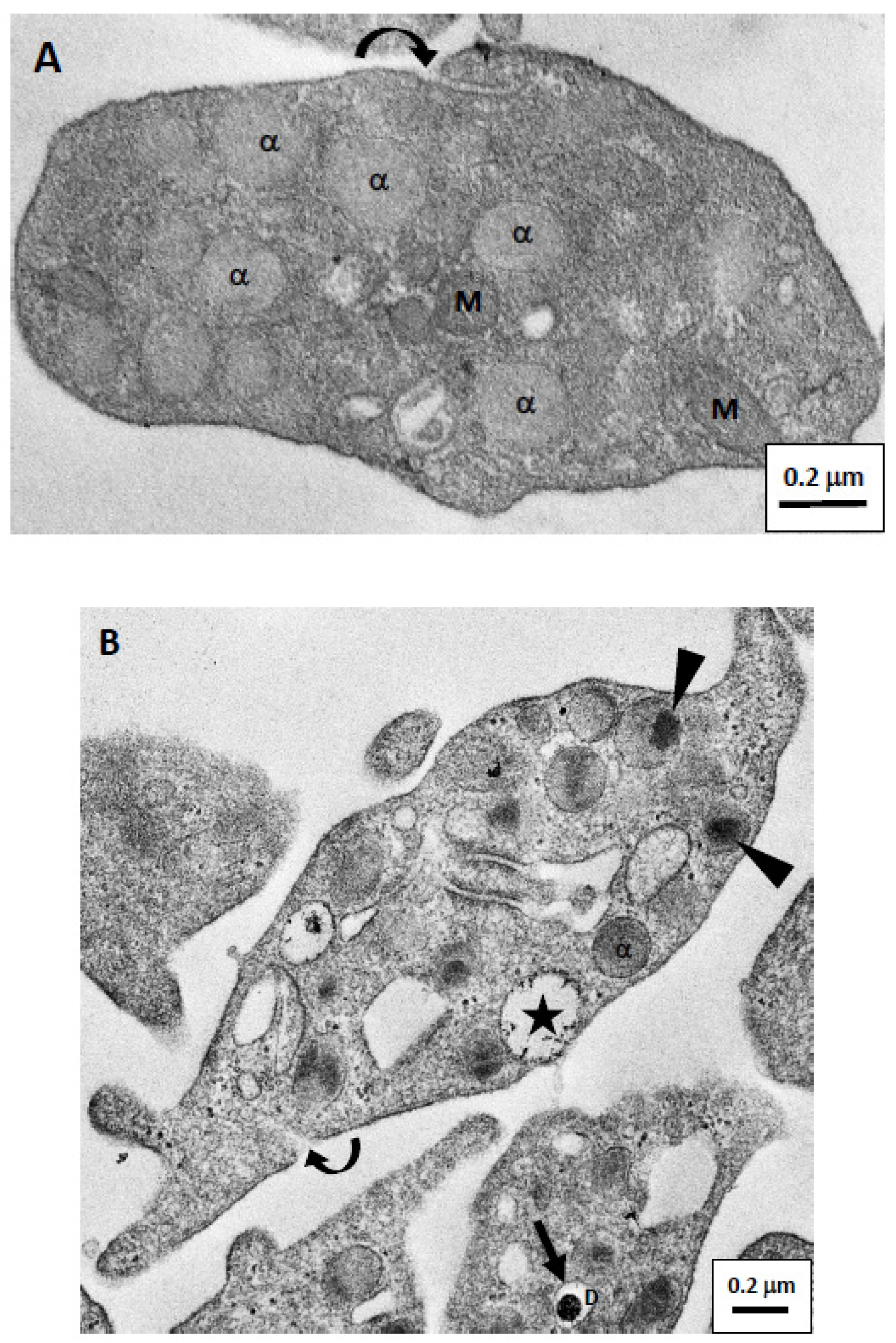 Applsci 10 04946 g002