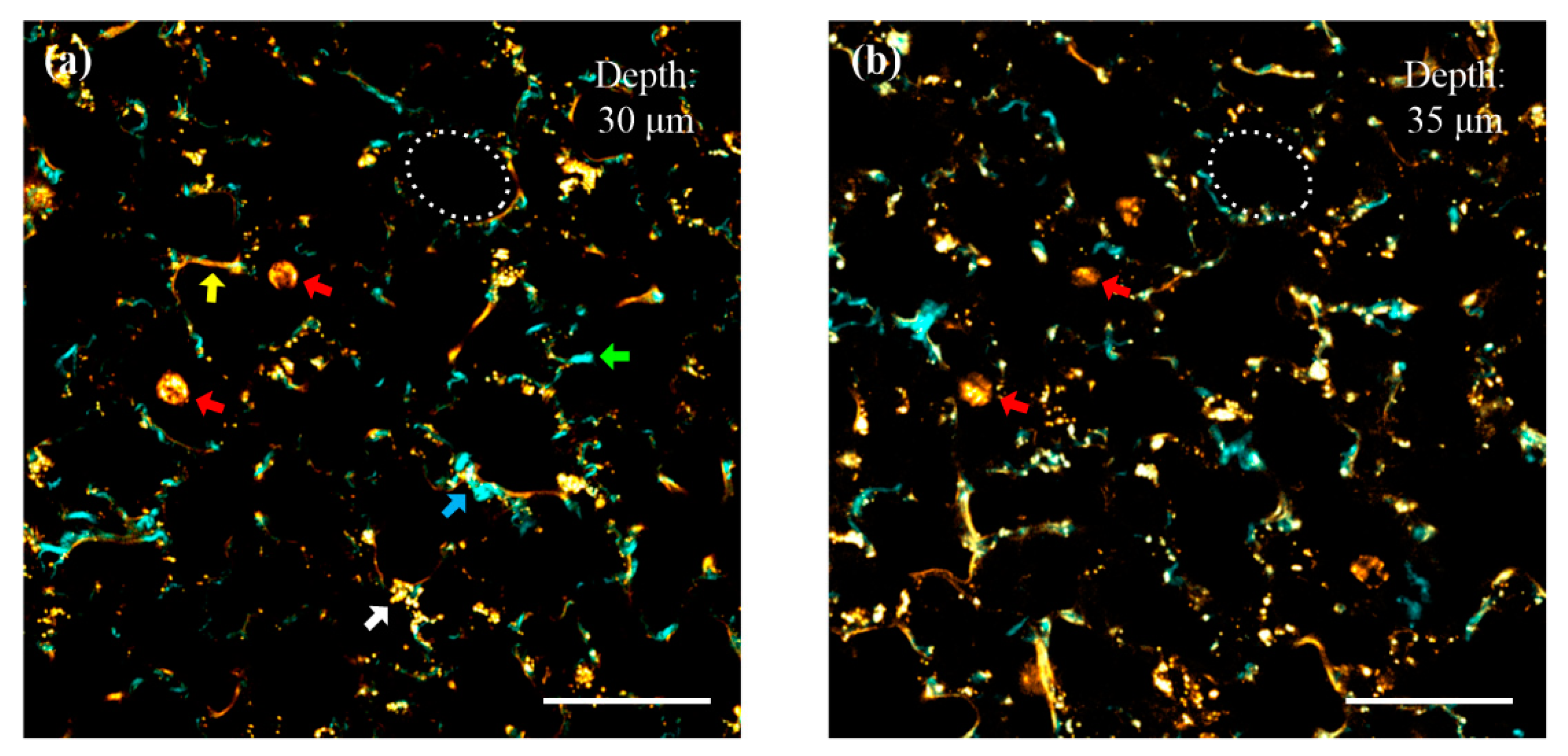 Applsci 10 07173 g004