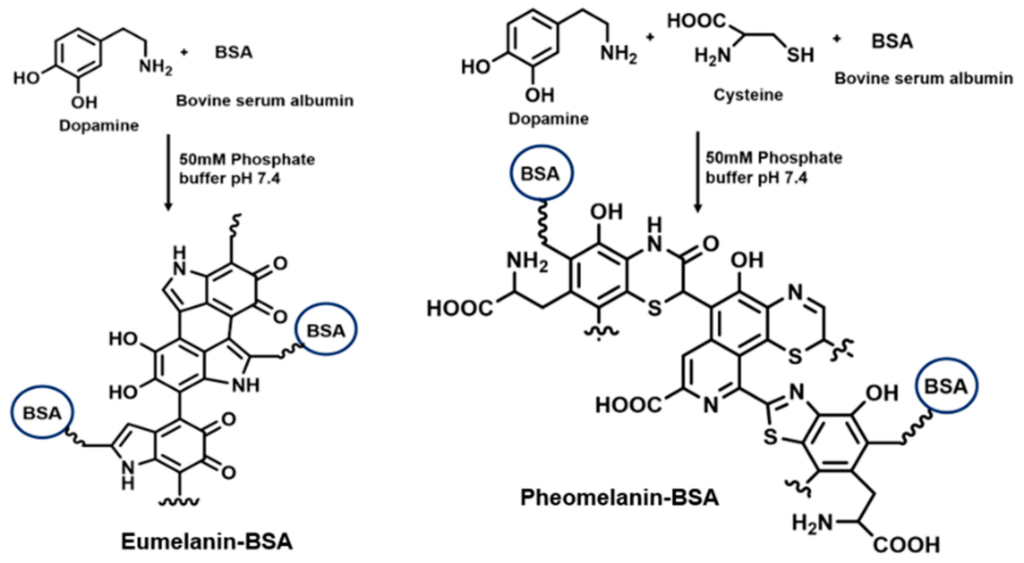 Applsci 10 08313 g001