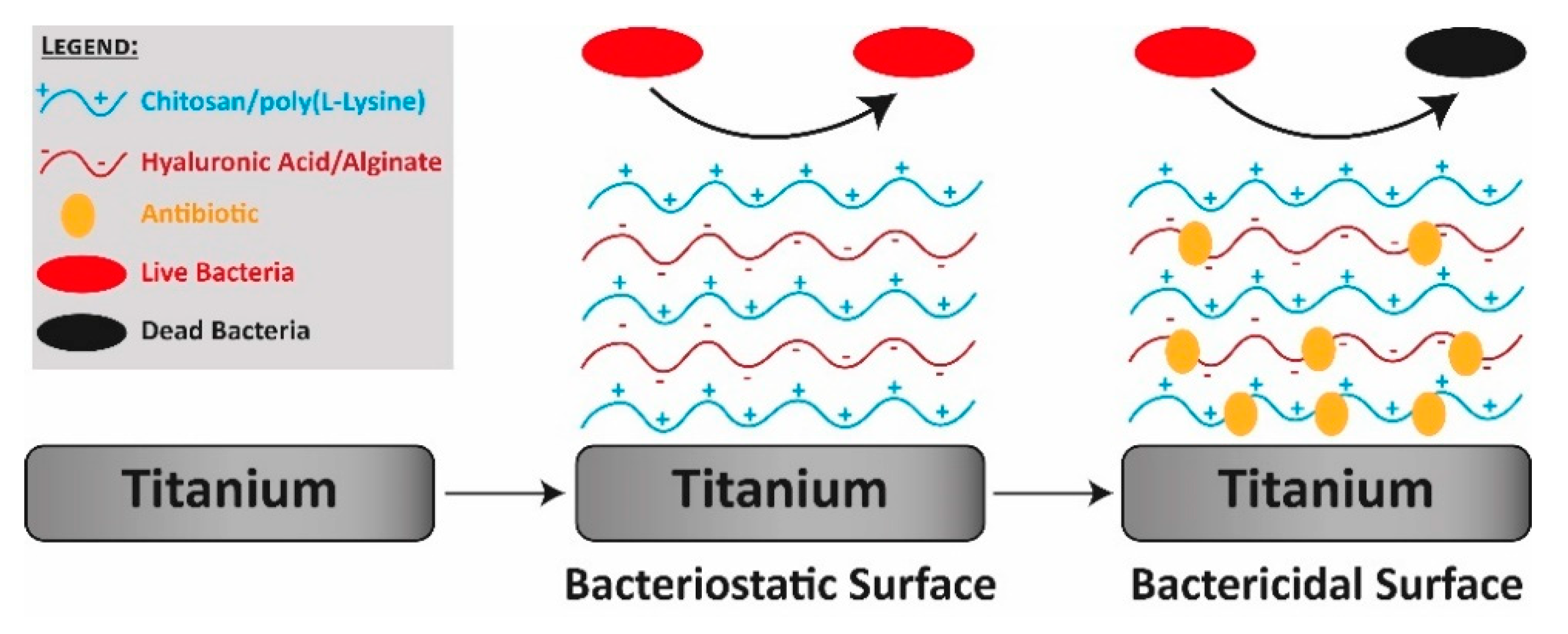 Applsci 10 08371 g004