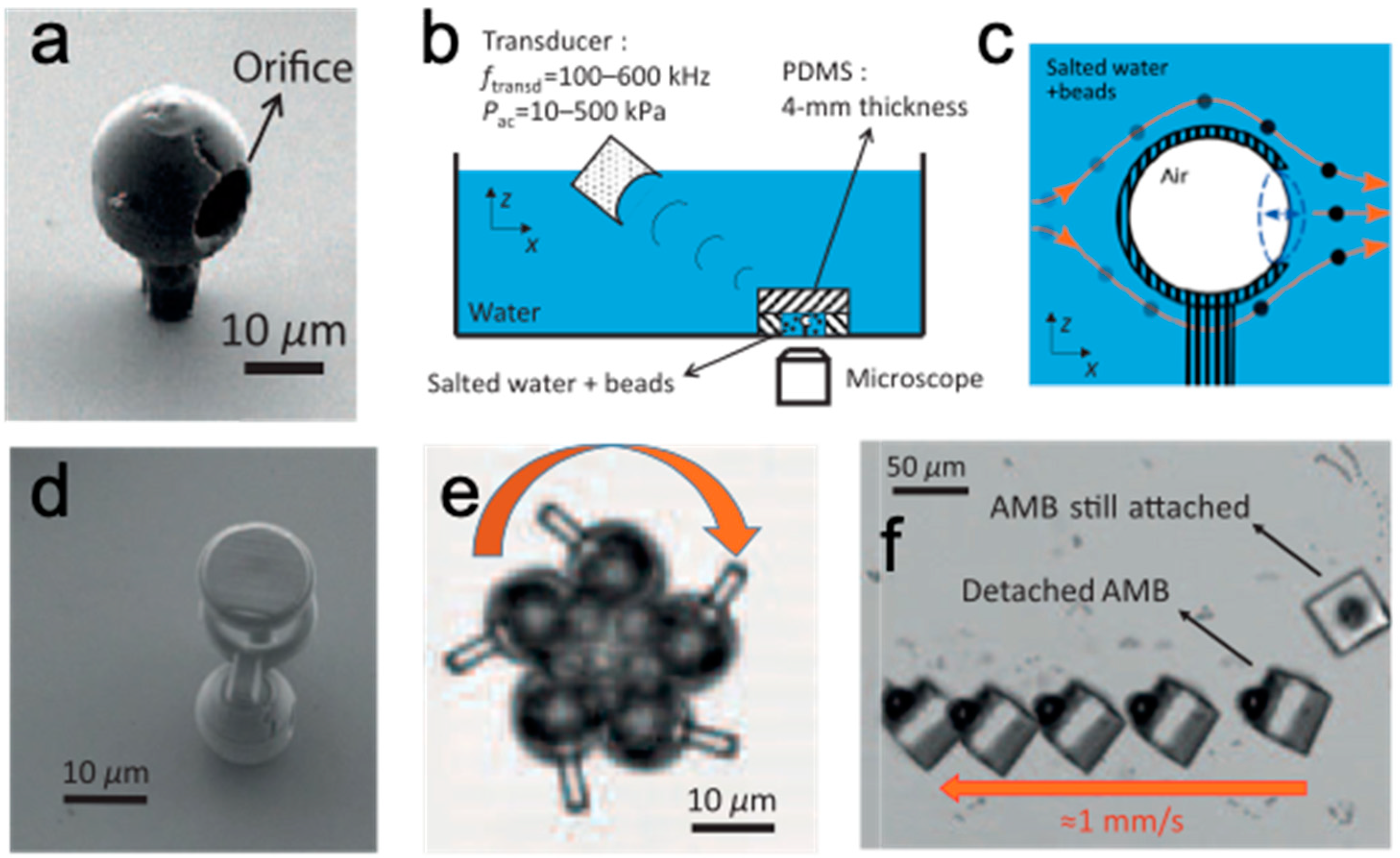 Applsci 10 08563 g004