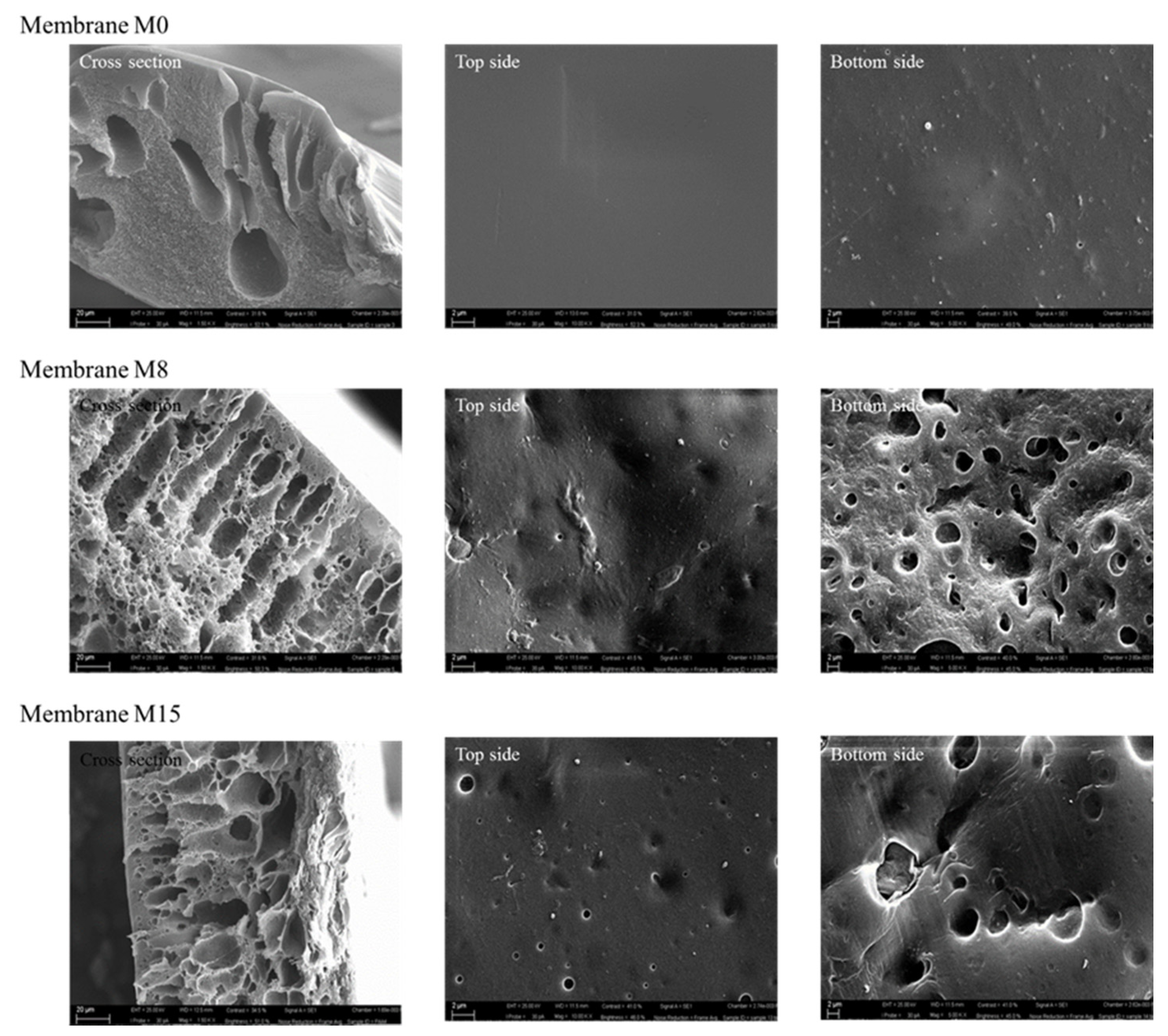 Applsci 11 04354 g003