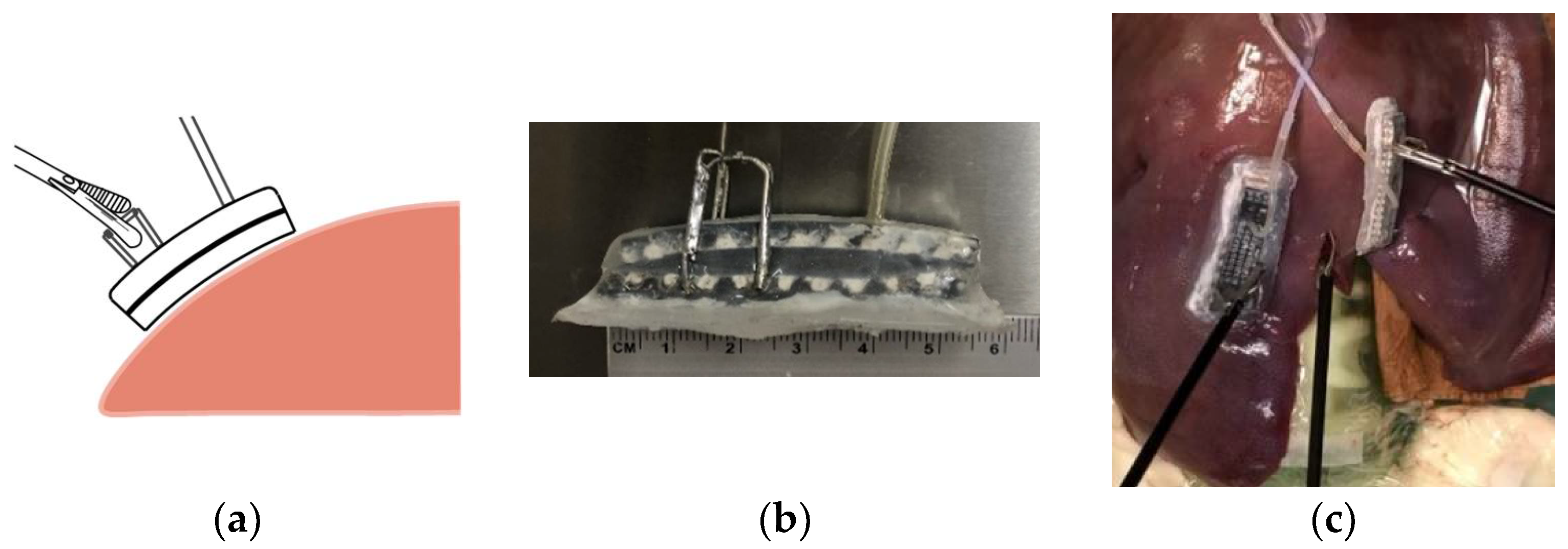 Applsci 11 04581 g001