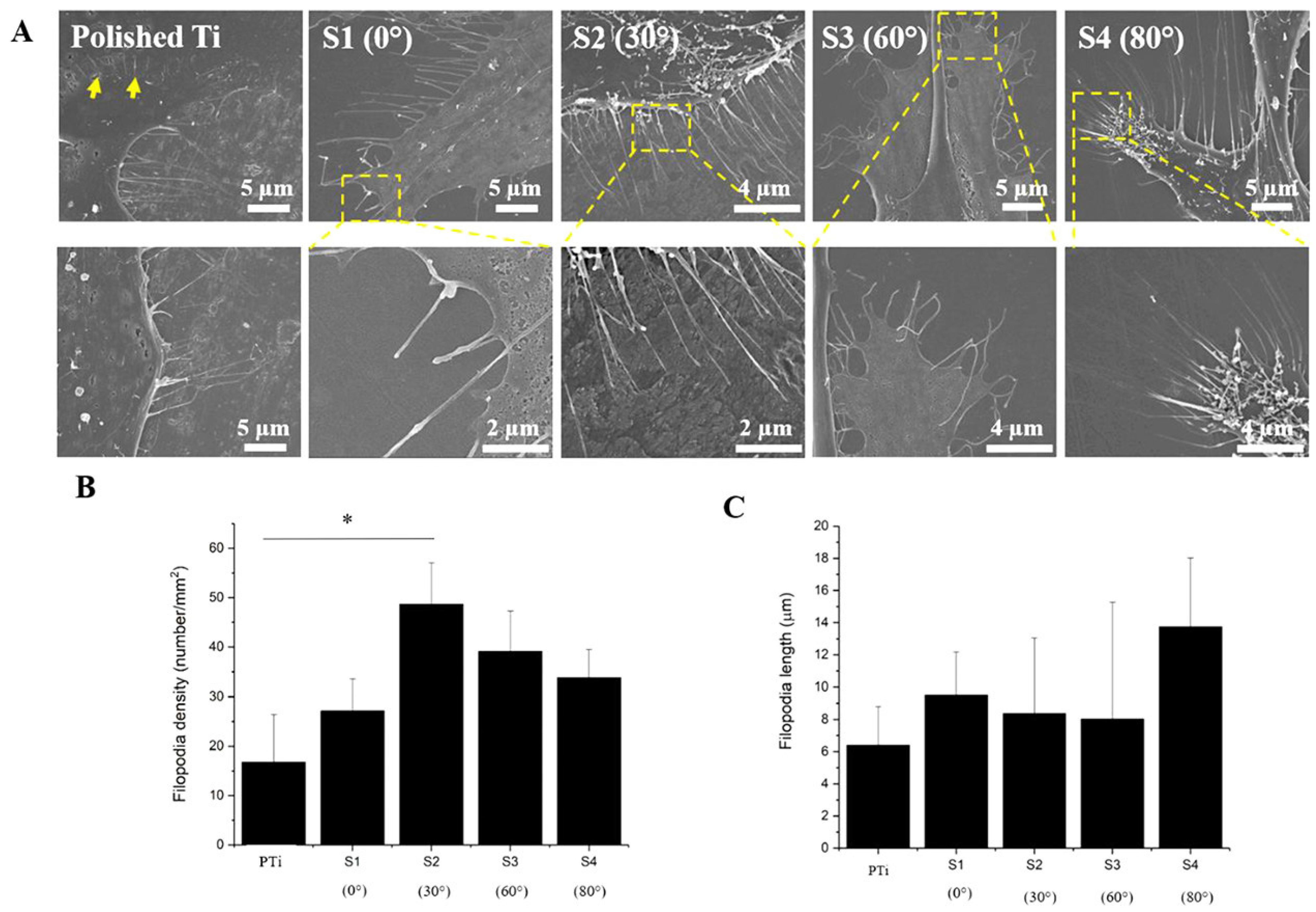 Applied Sciences Free Full Text Ion Beam Nanopatterning Of