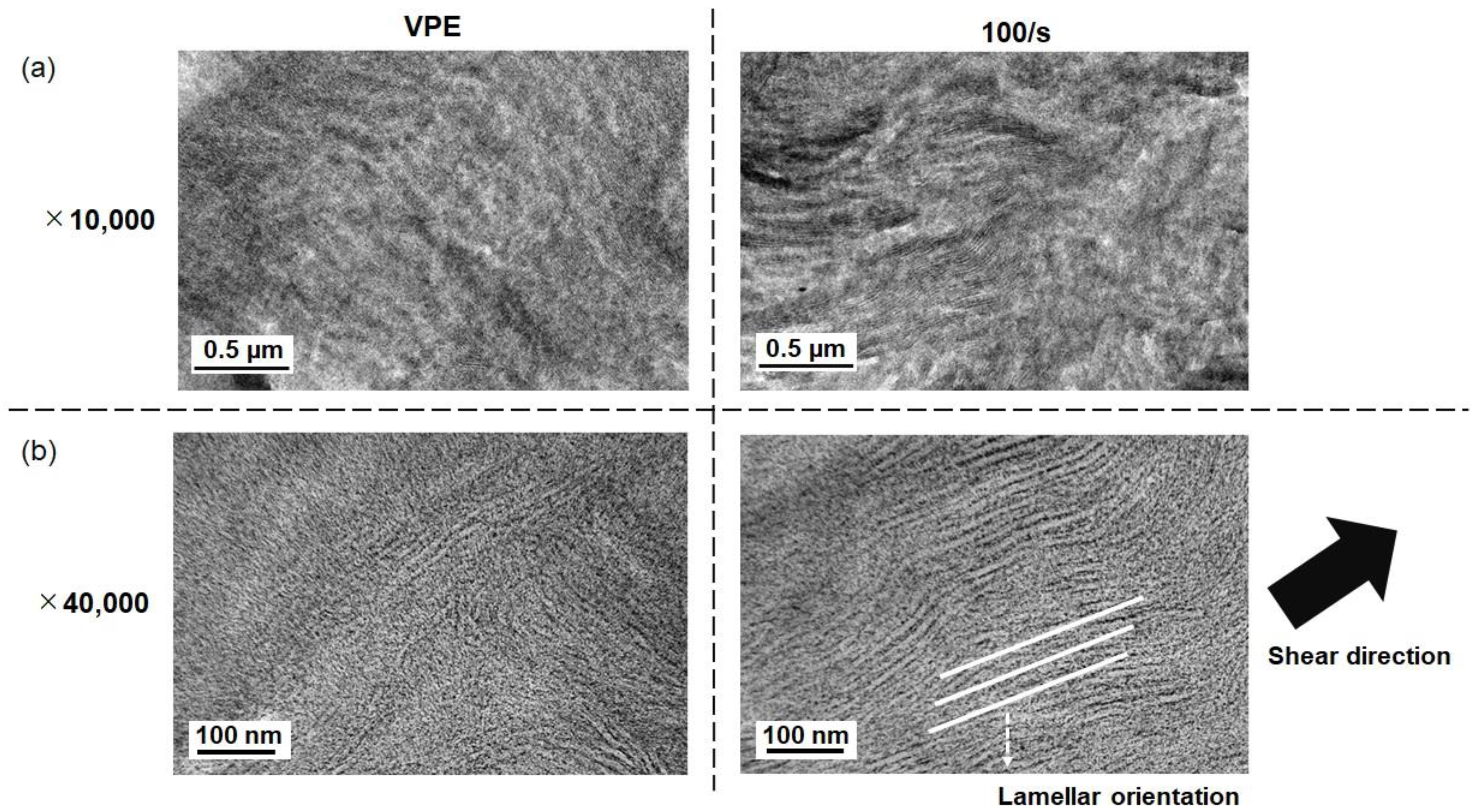 Applsci 11 08436 g008