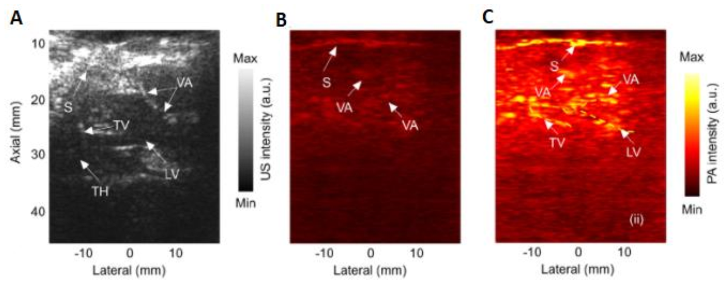 Applsci 11 09804 g004
