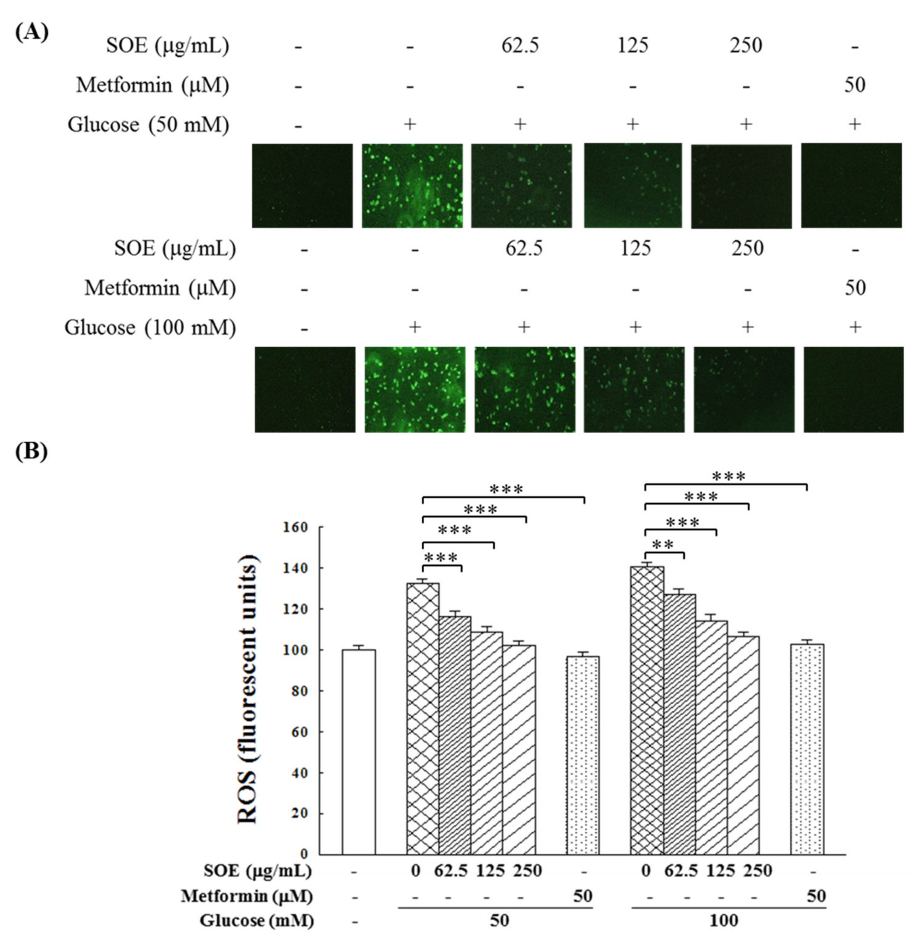 Applsci 11 10963 g002