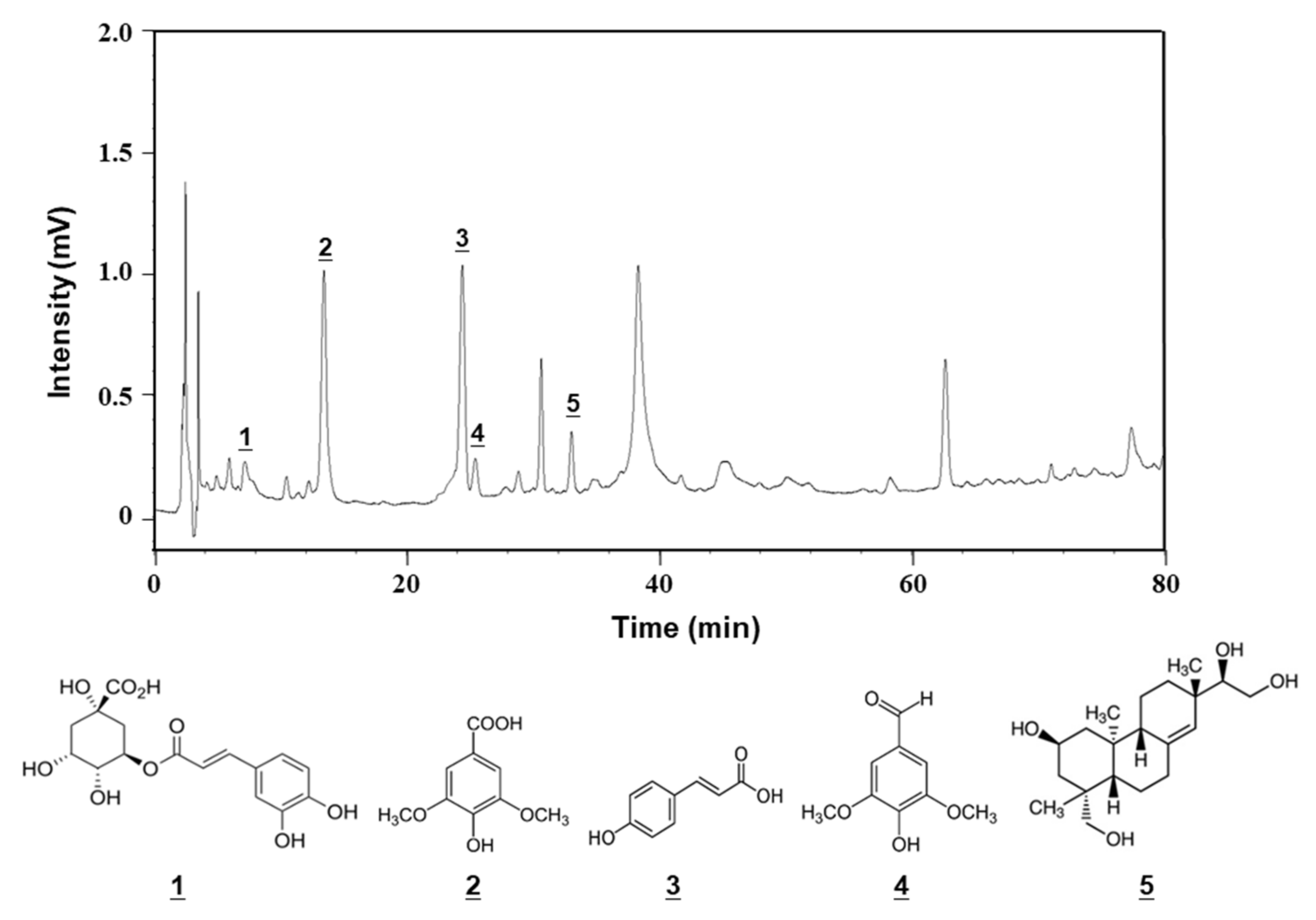 Applsci 11 10963 g006