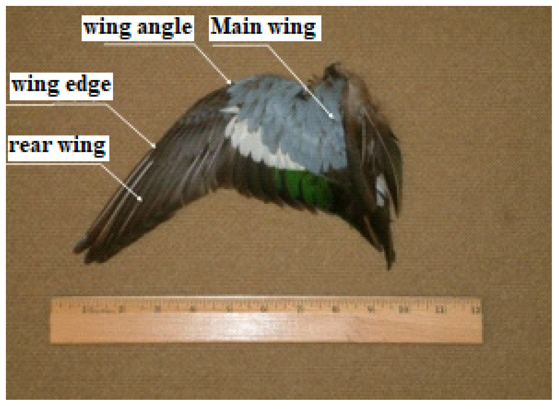 Applsci 12 01968 g004