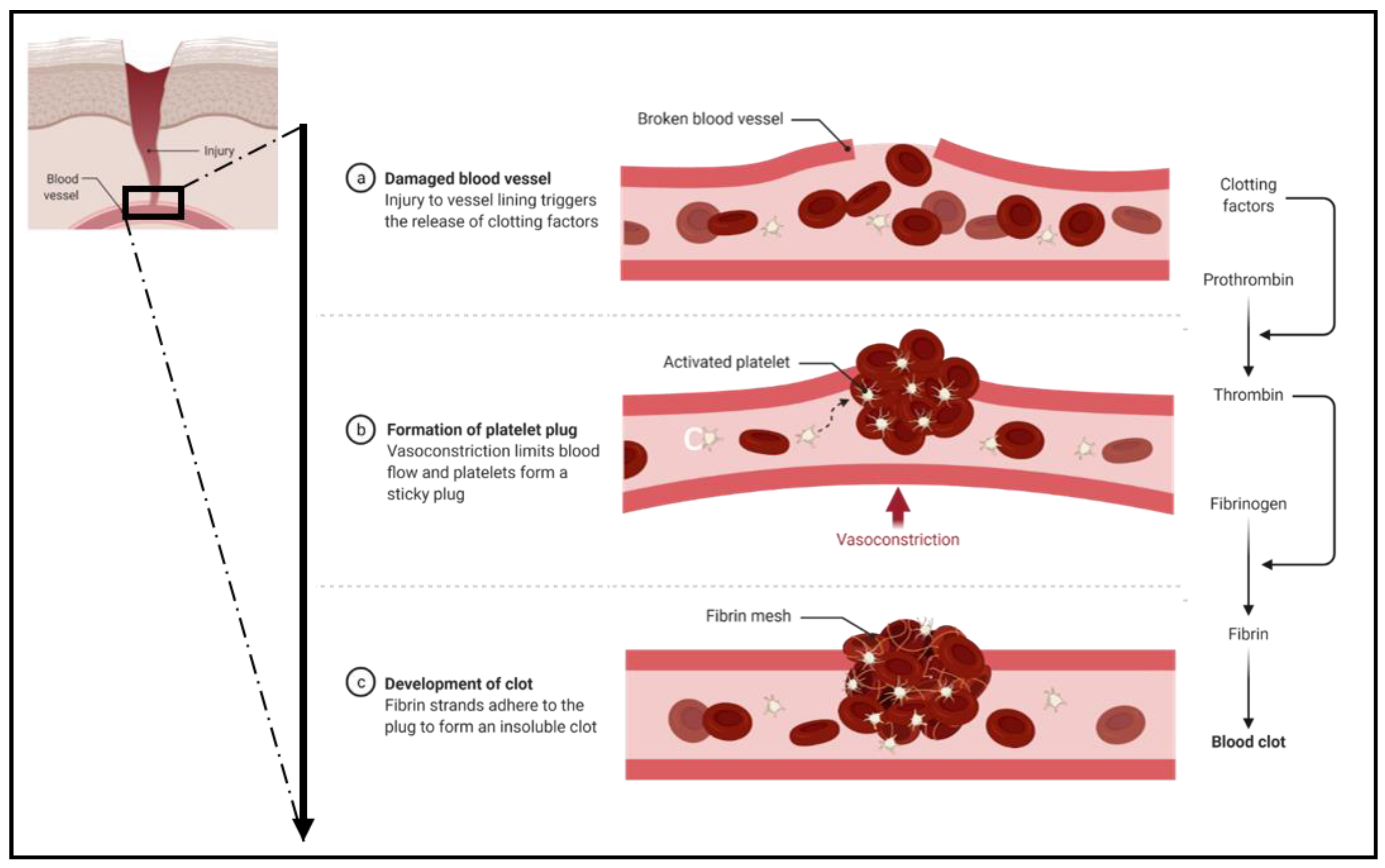 Applsci 12 03800 g003