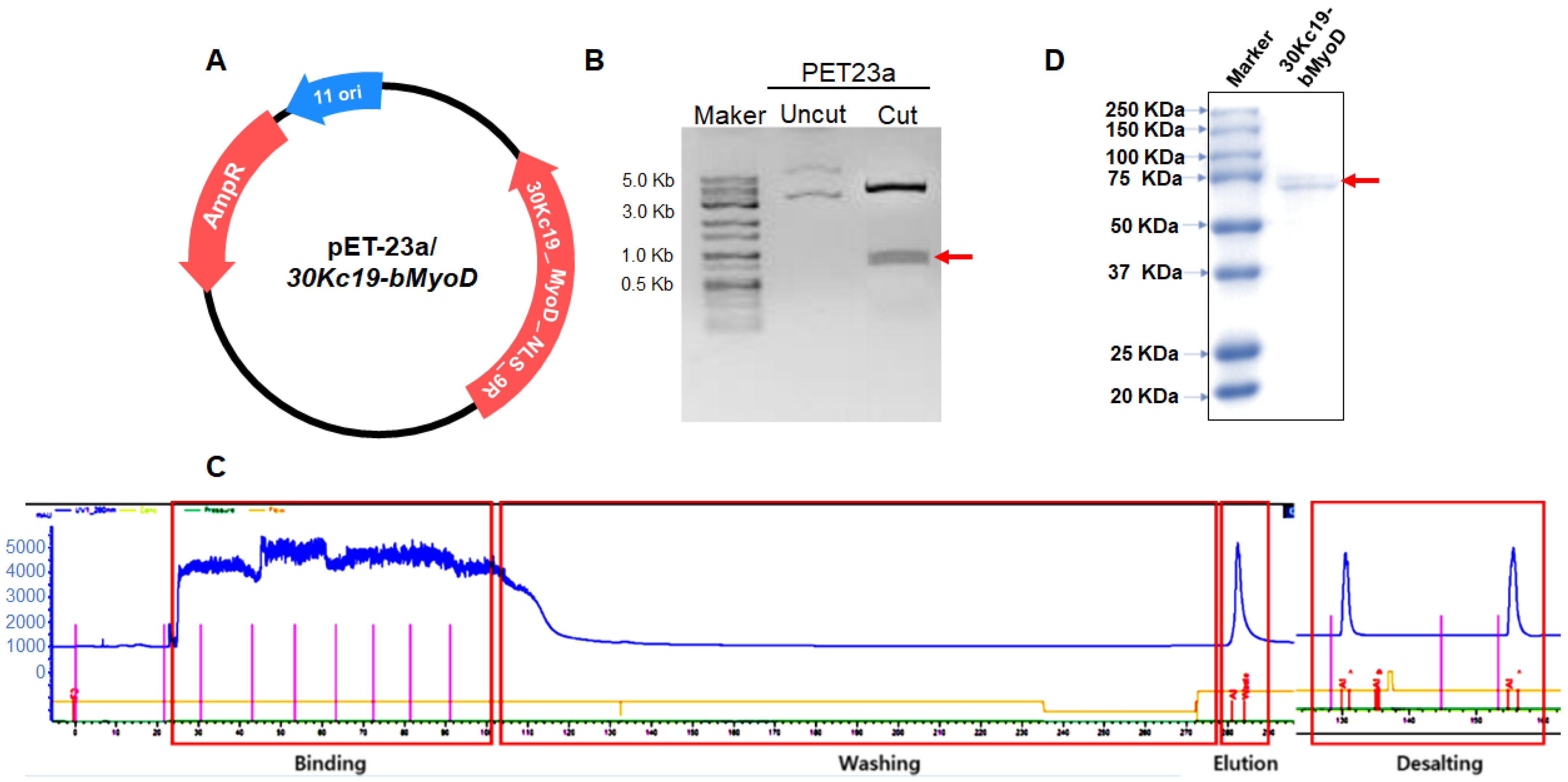 Applsci 12 04688 g001